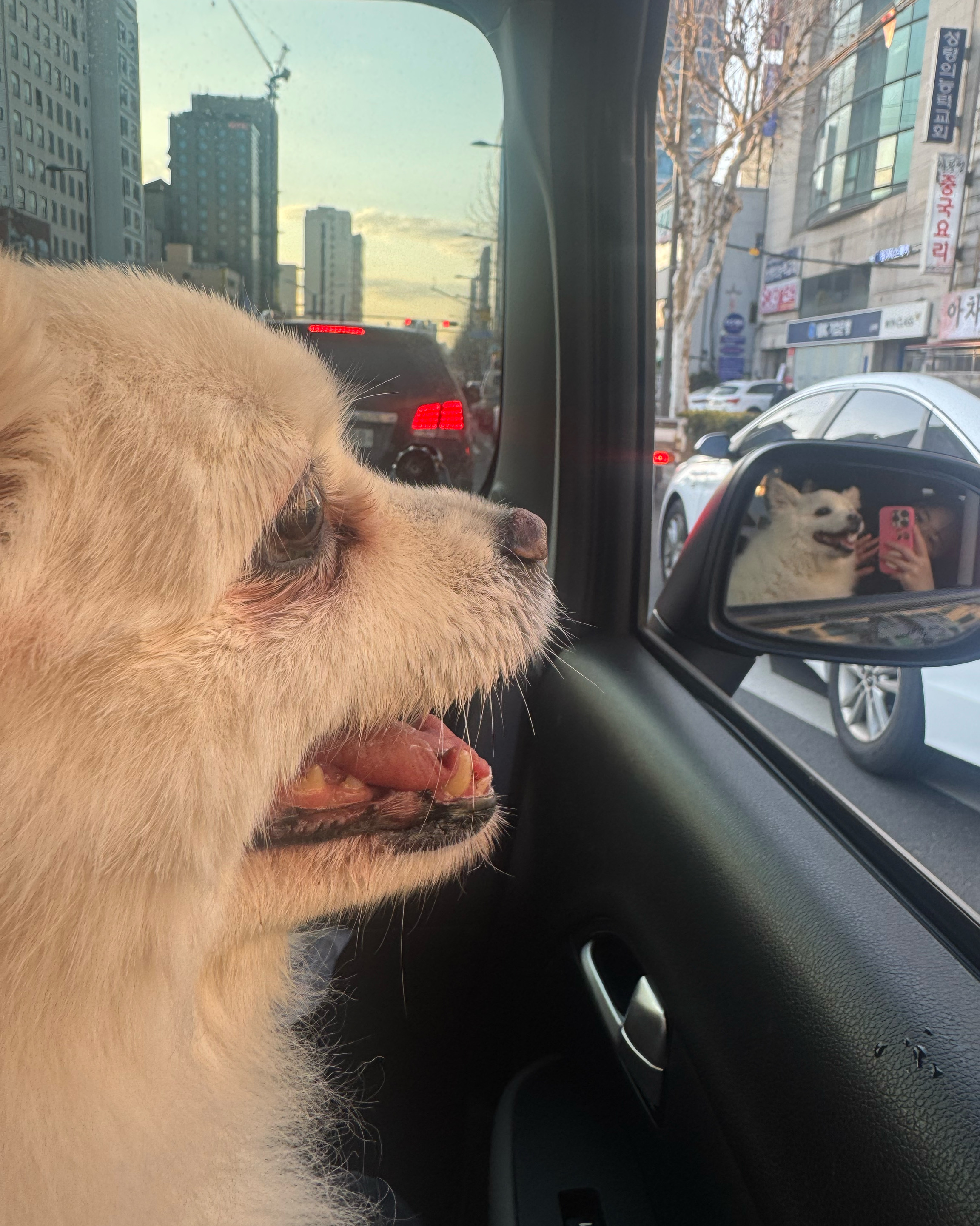 리뷰 사진 1