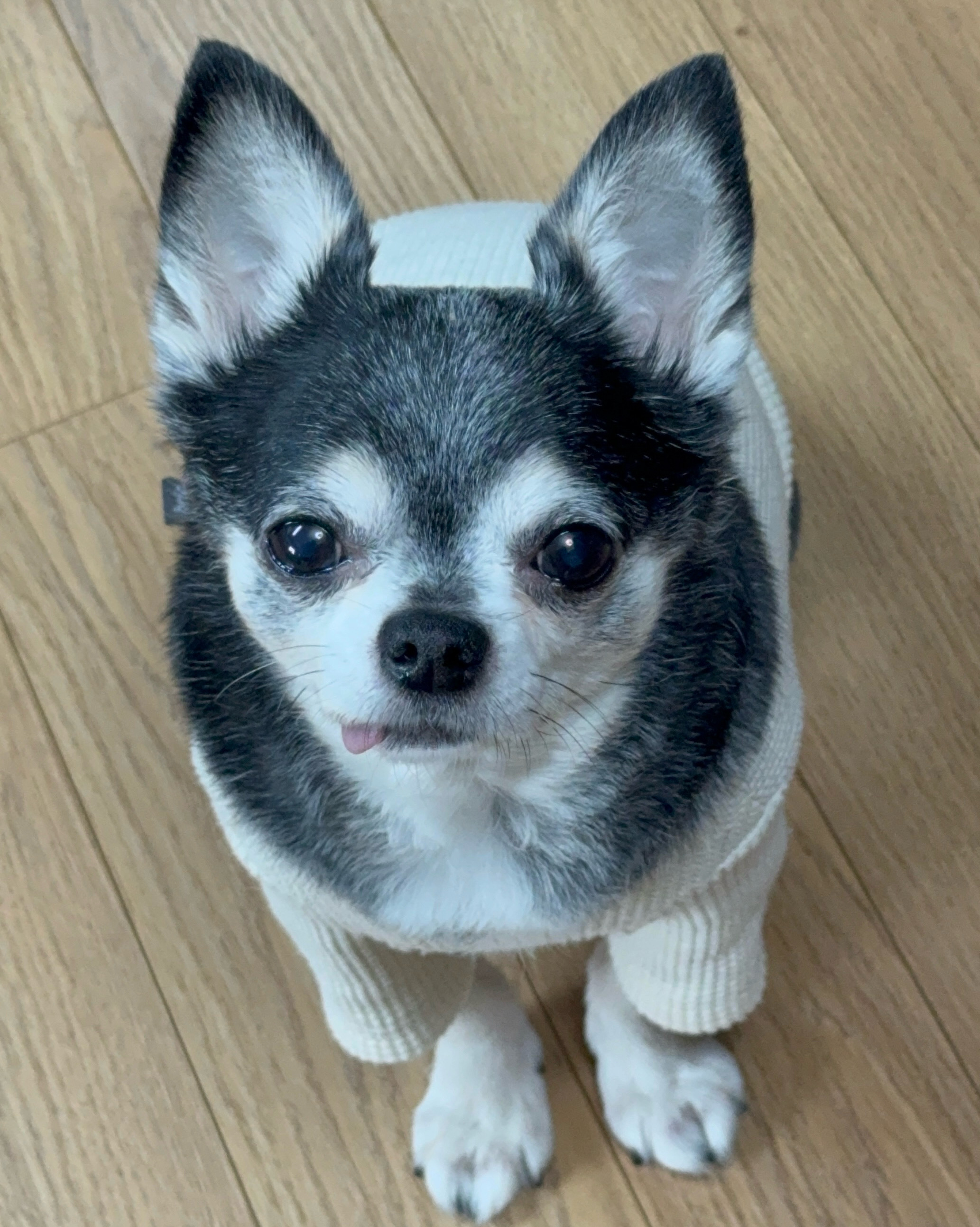 리뷰 사진 1