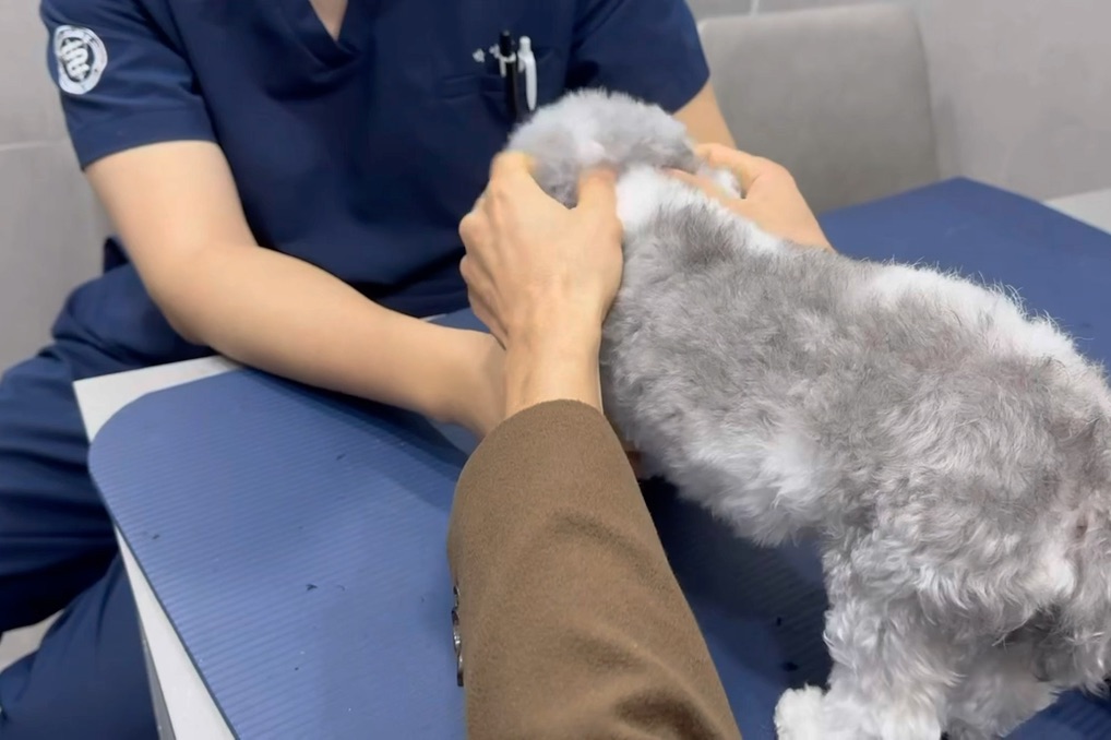리뷰 사진 1