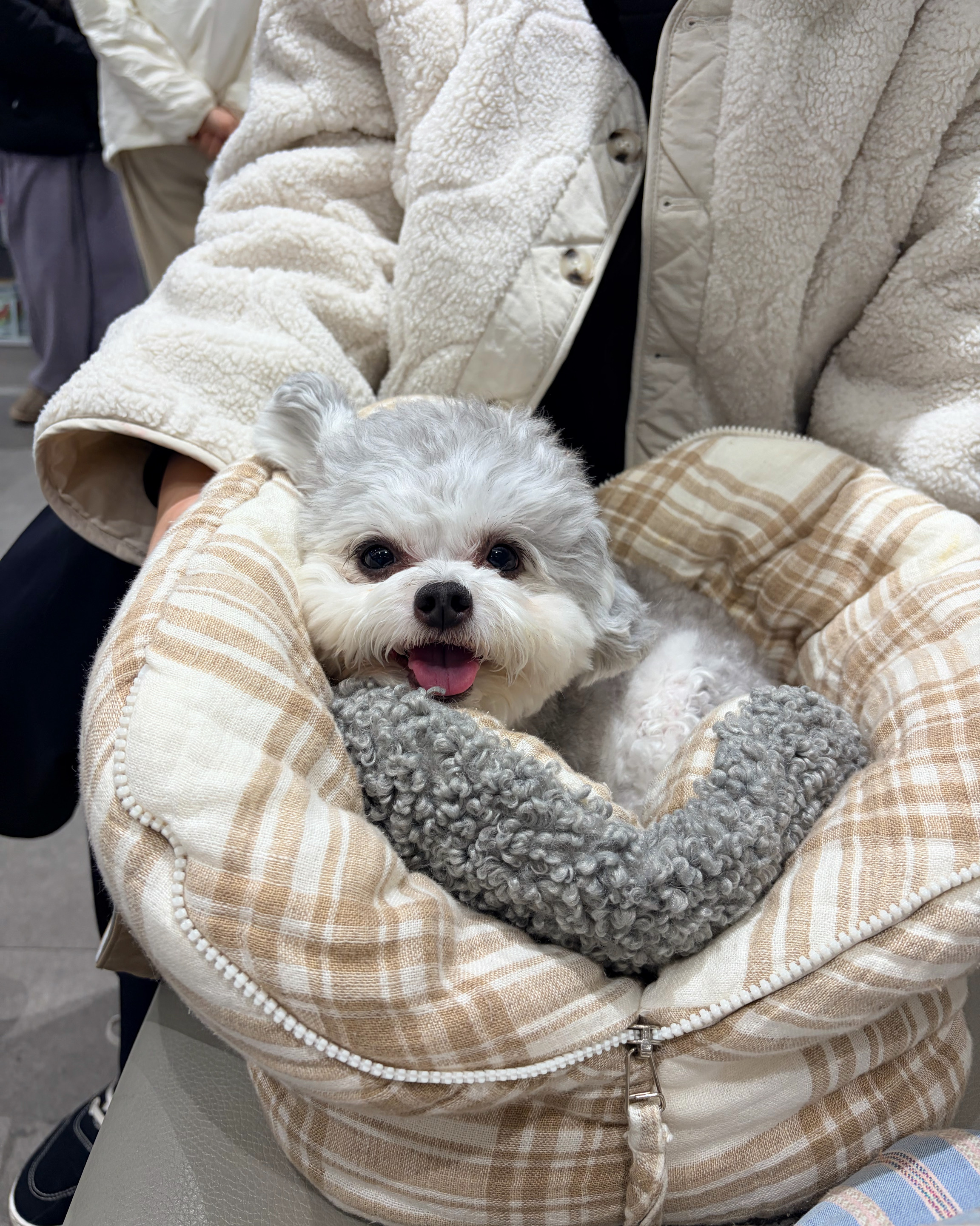 리뷰 사진 3