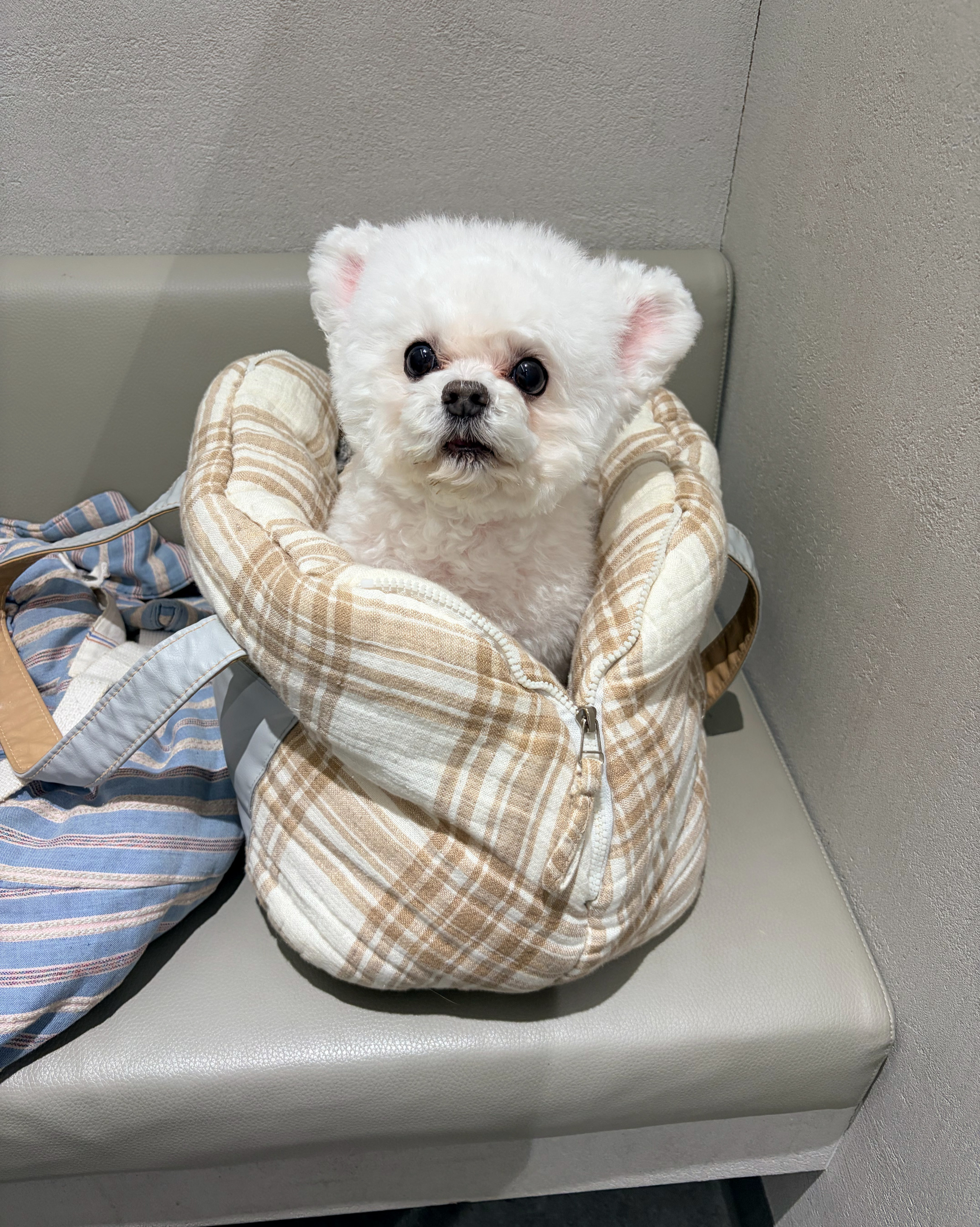 리뷰 사진 2