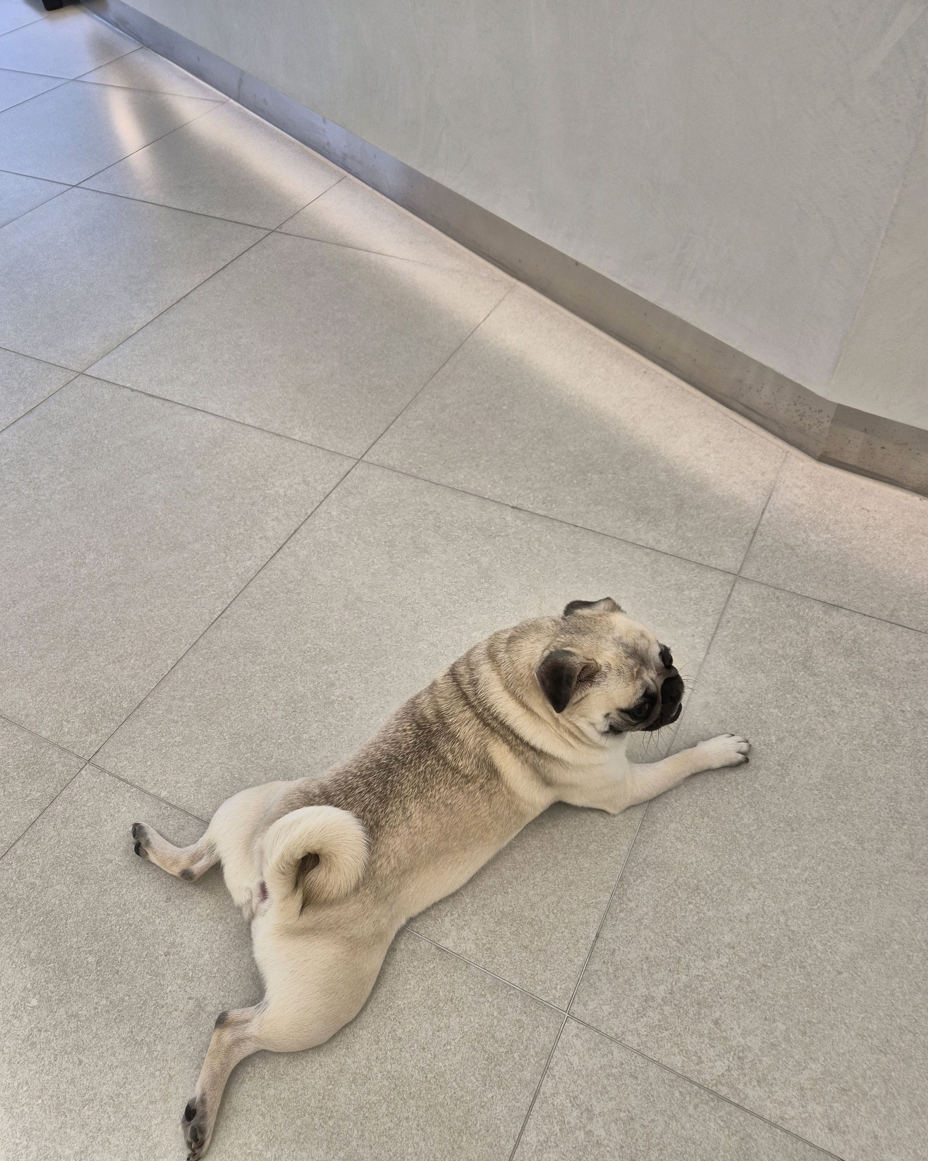 리뷰 사진 1