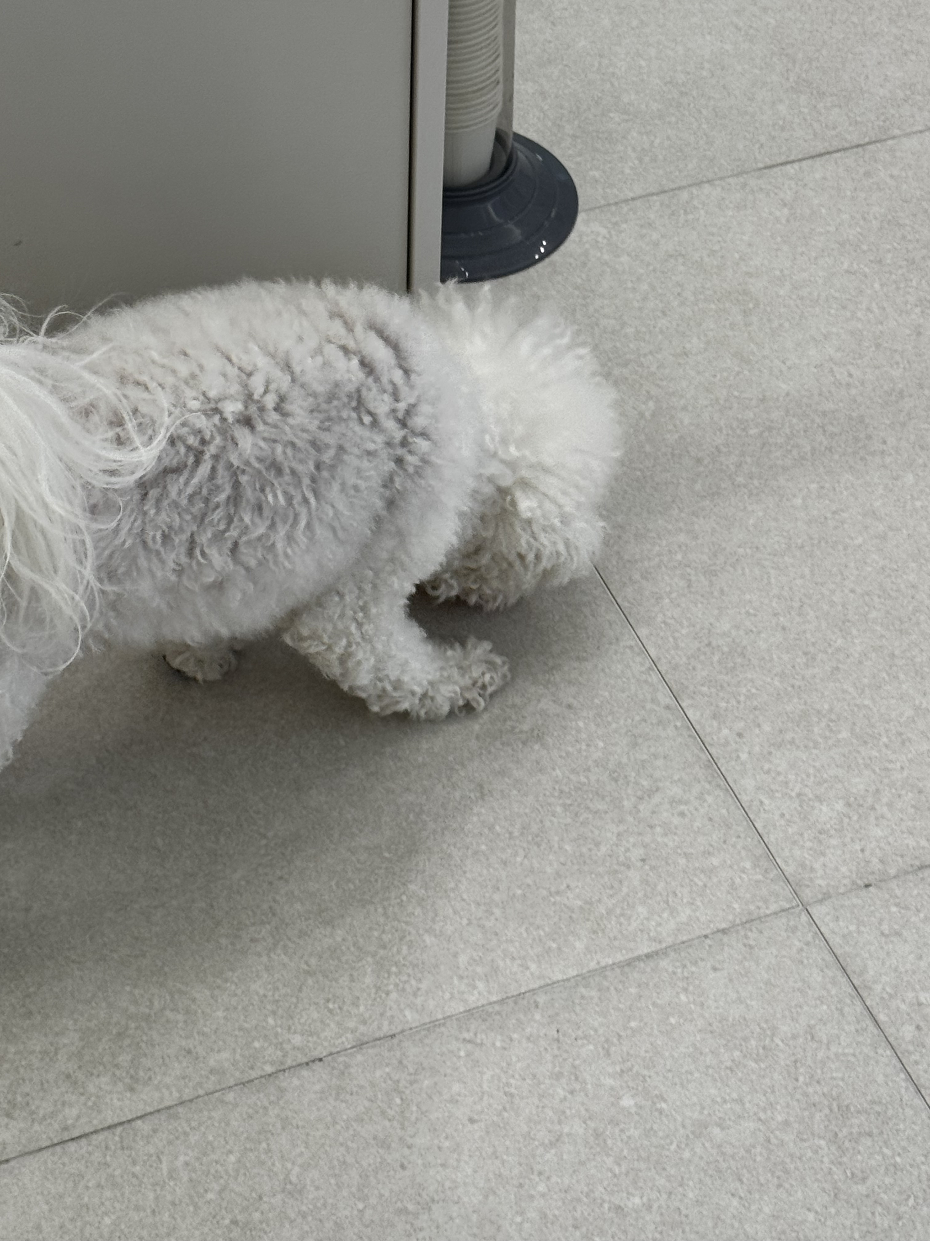 리뷰 사진 1