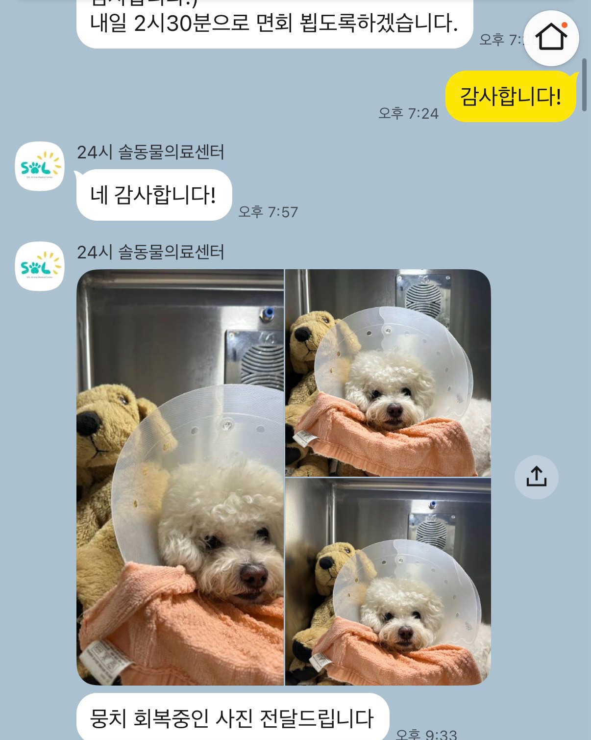 리뷰 사진 1