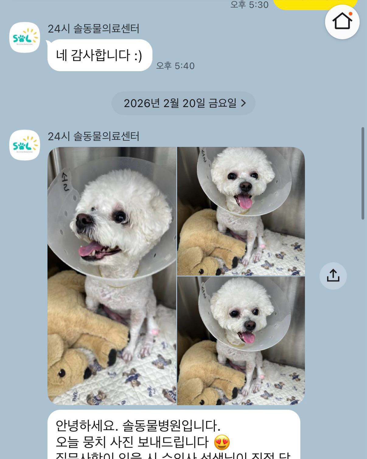 리뷰 사진 2