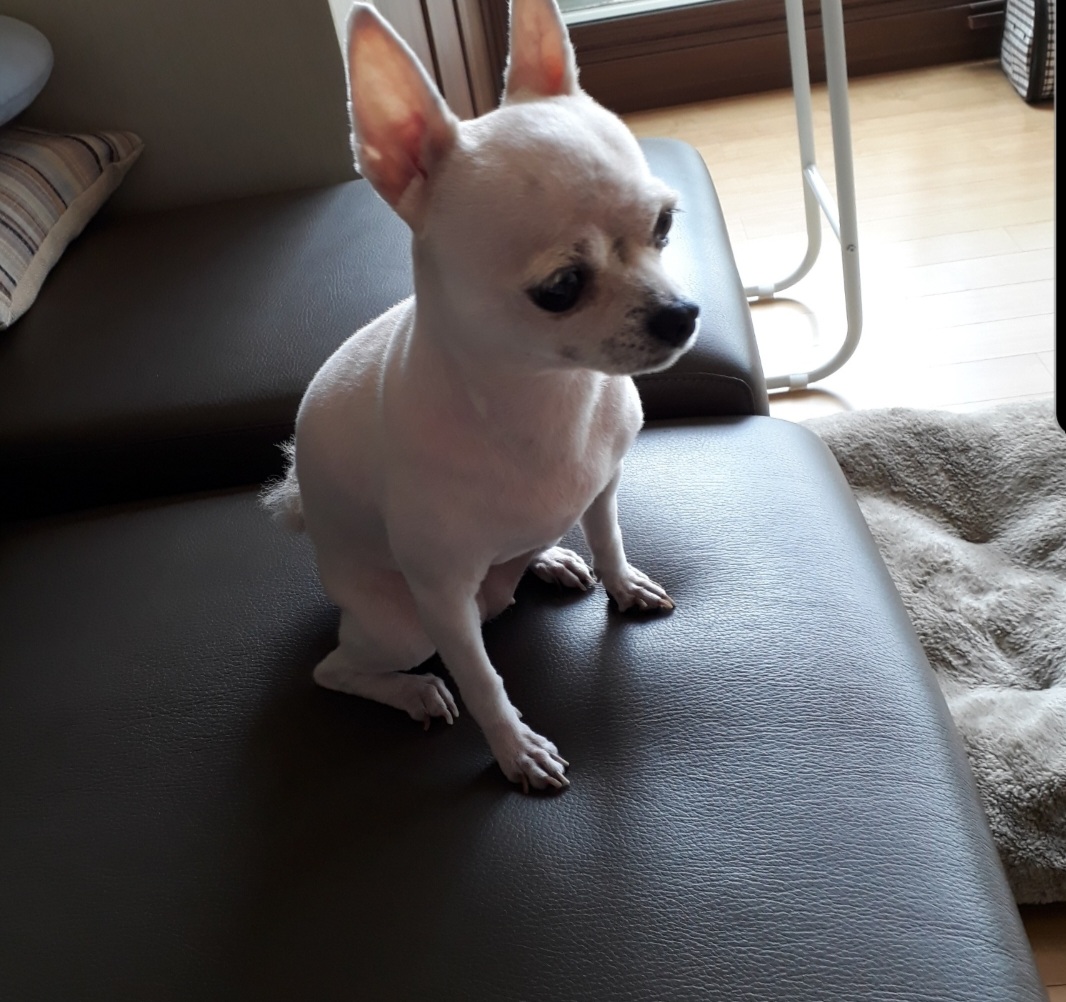 리뷰 사진 1