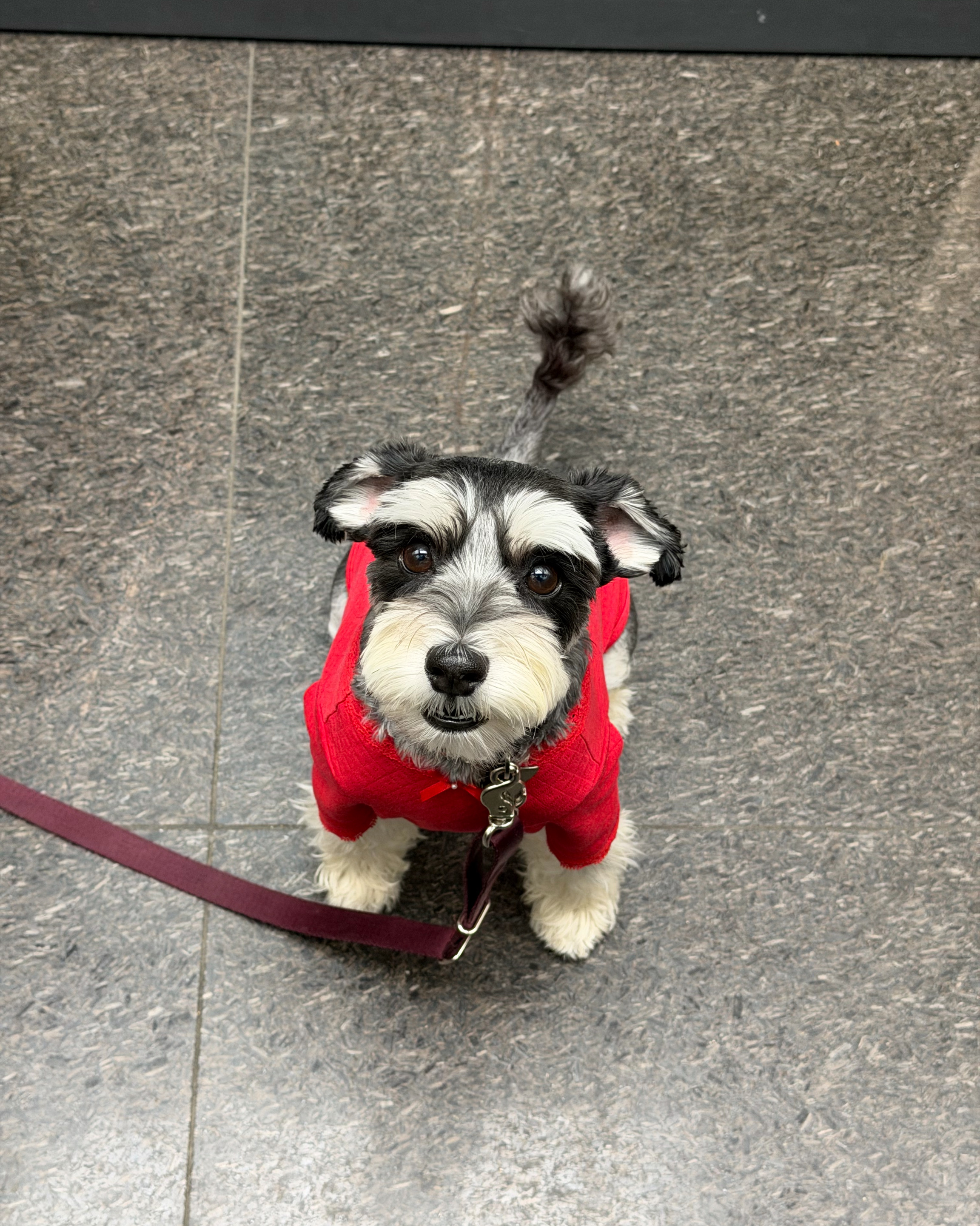 리뷰 사진 1