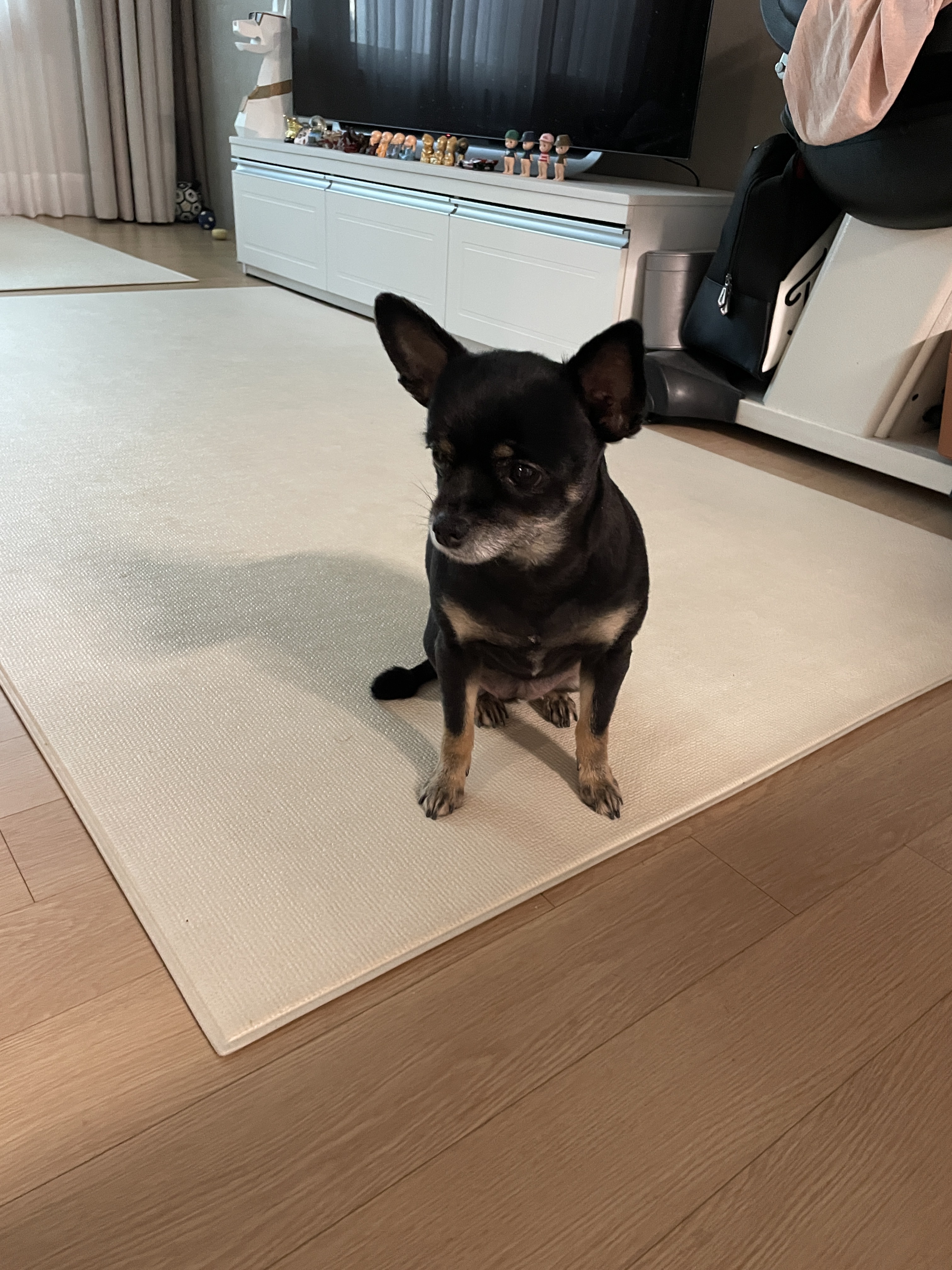 리뷰 사진 1