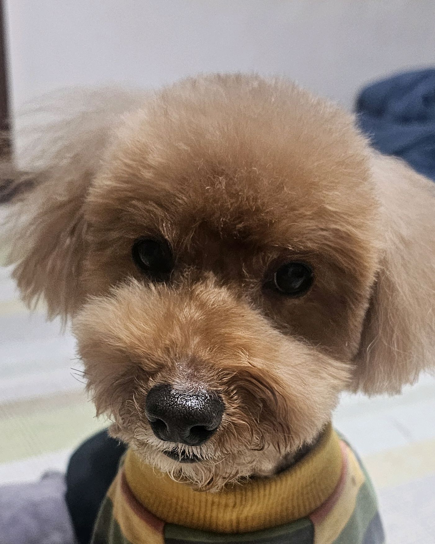 리뷰 사진 1