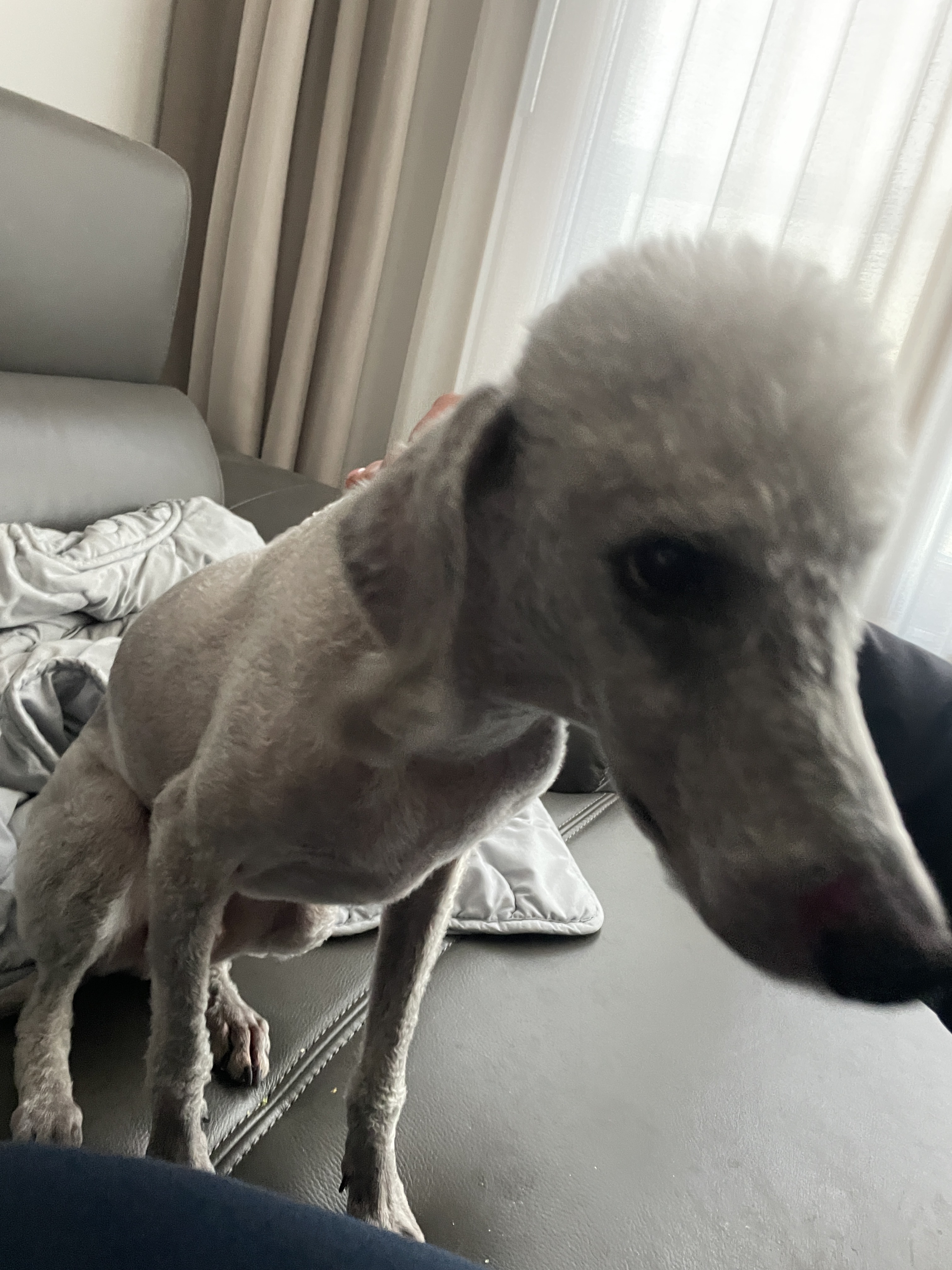 리뷰 사진 2
