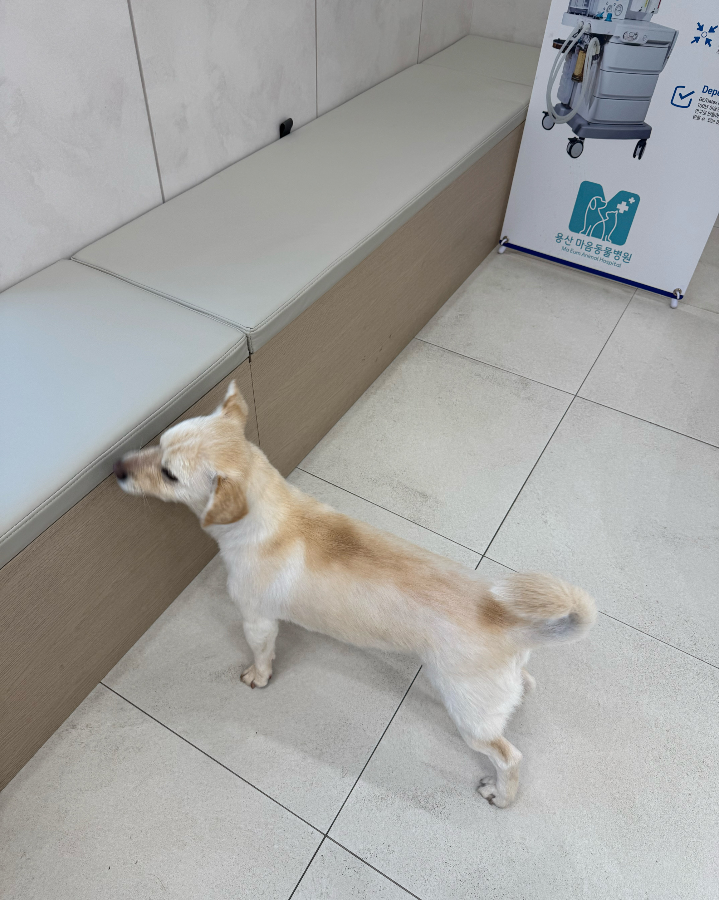 리뷰 사진 2