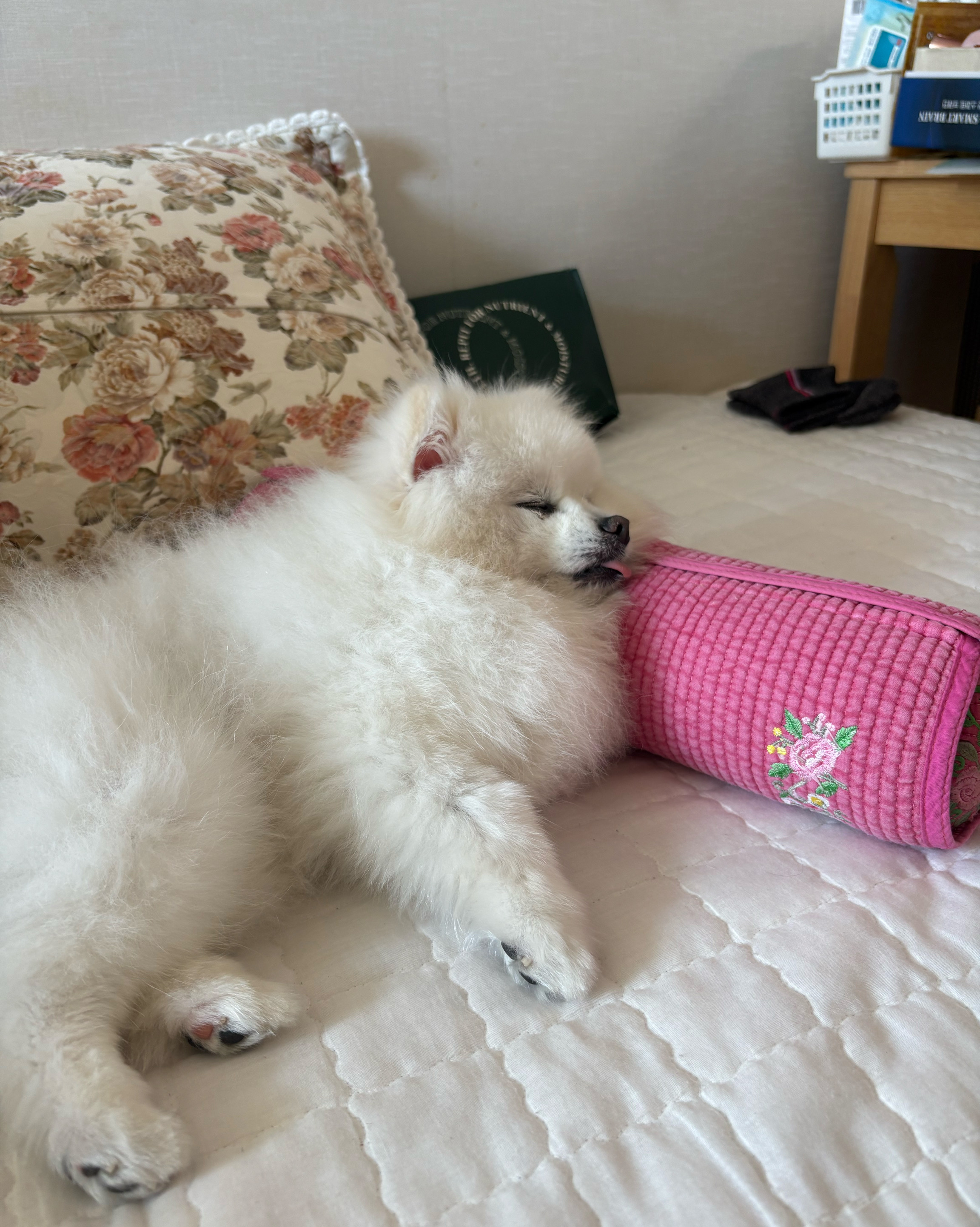 리뷰 사진 1