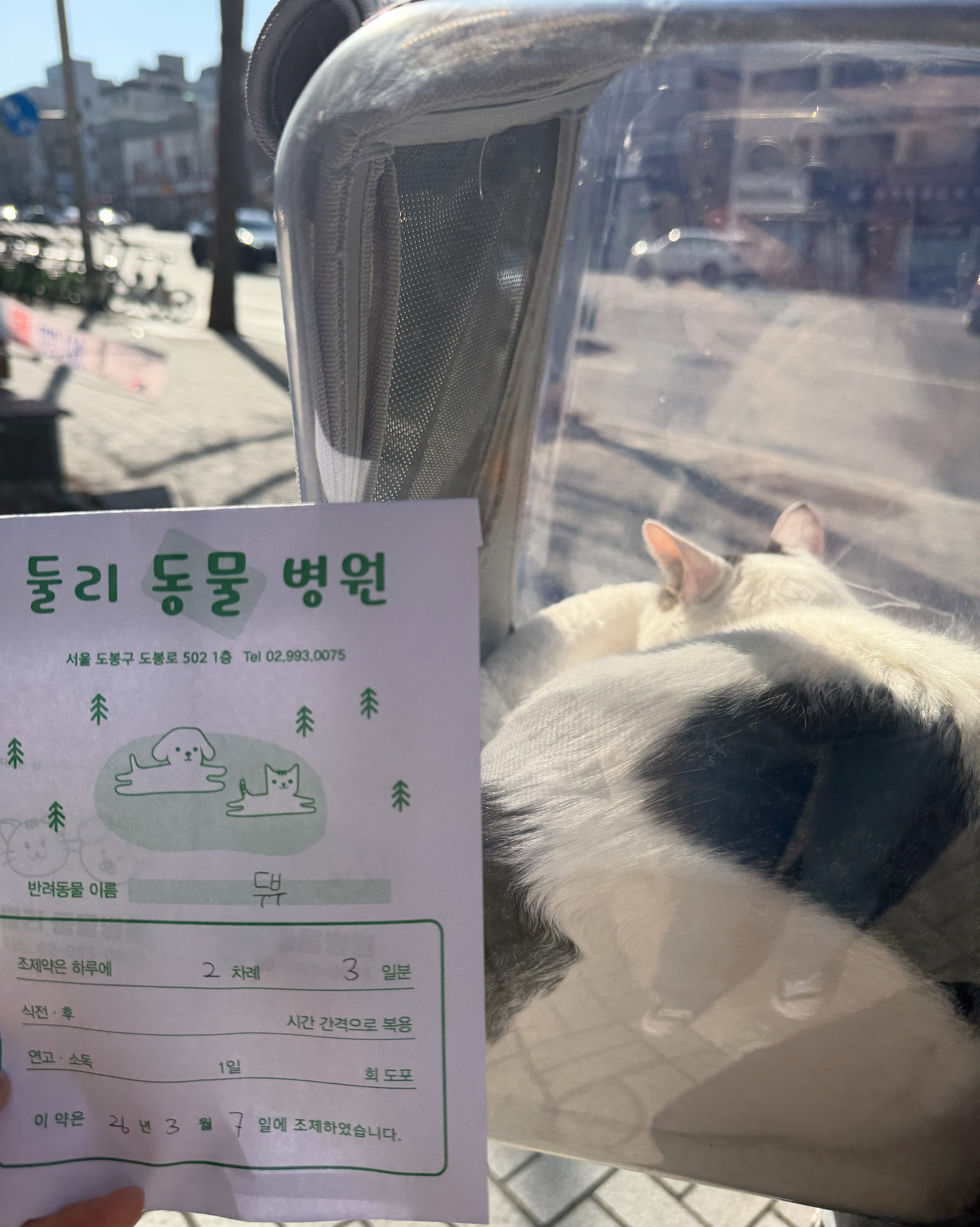 리뷰 사진 1