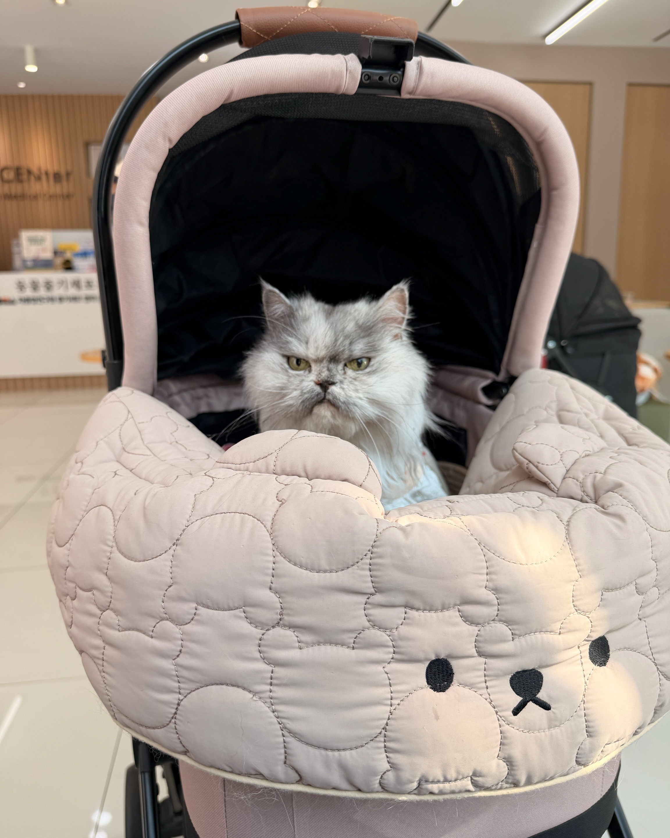 리뷰 사진 3