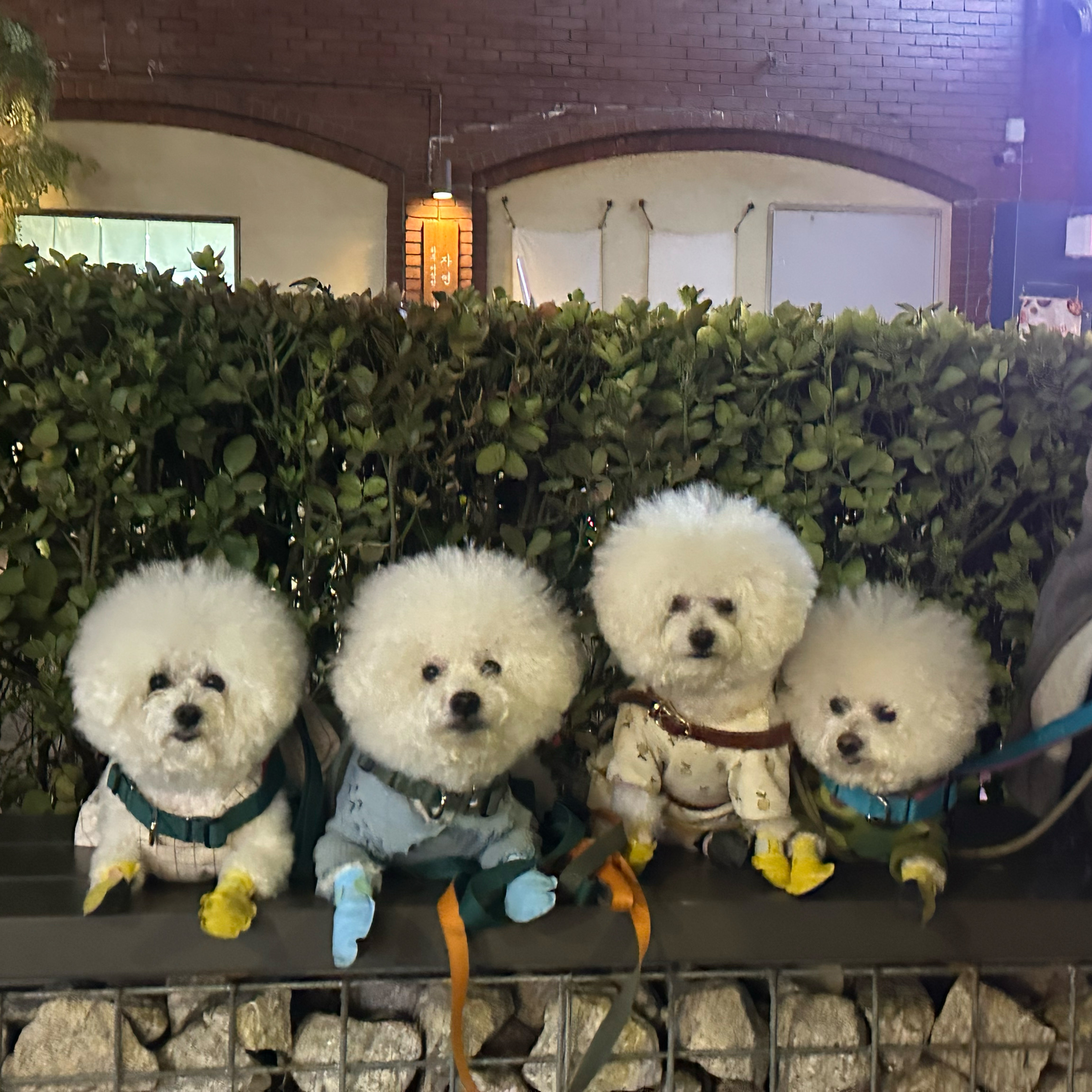 리뷰 사진 1