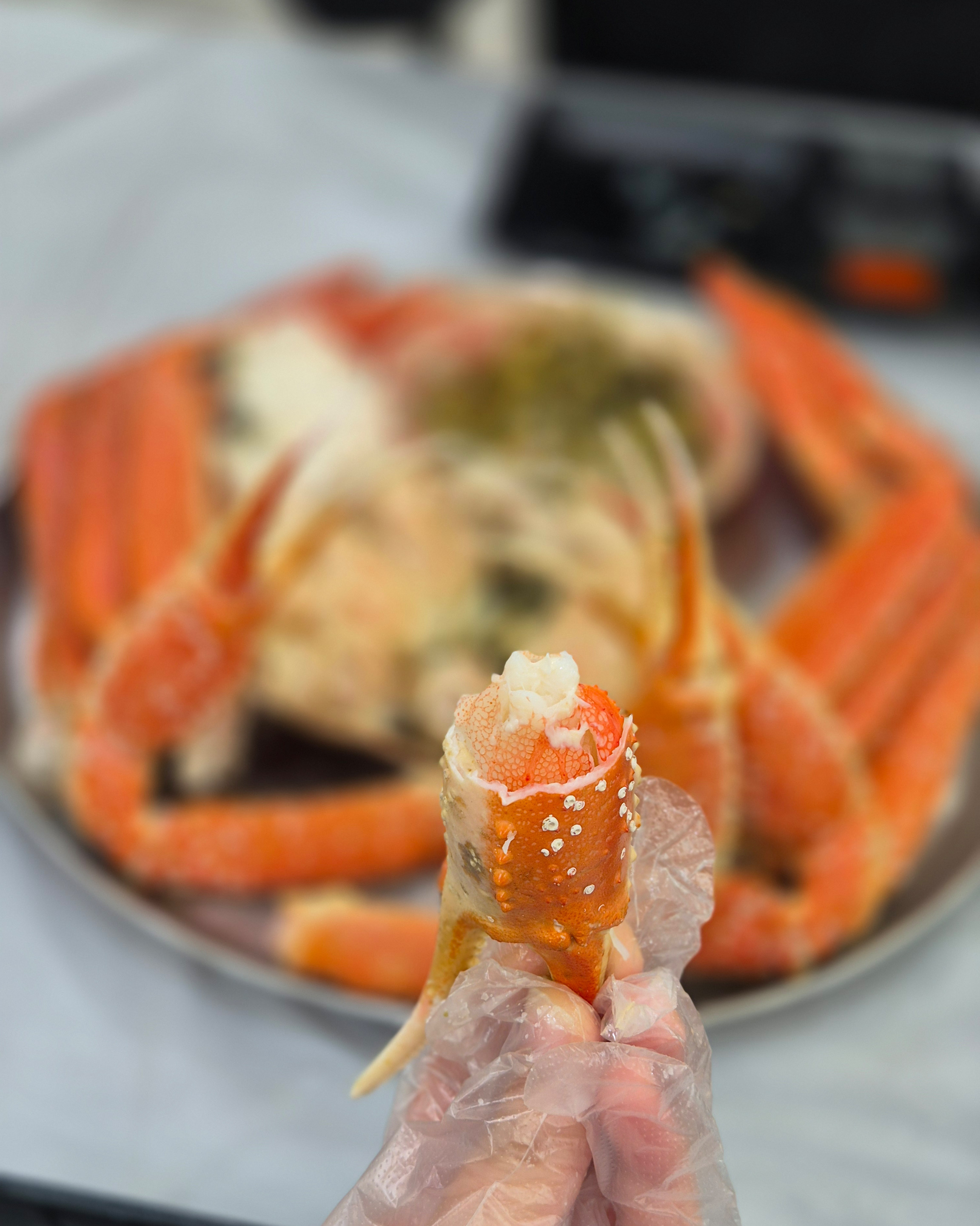속초대게촌 5