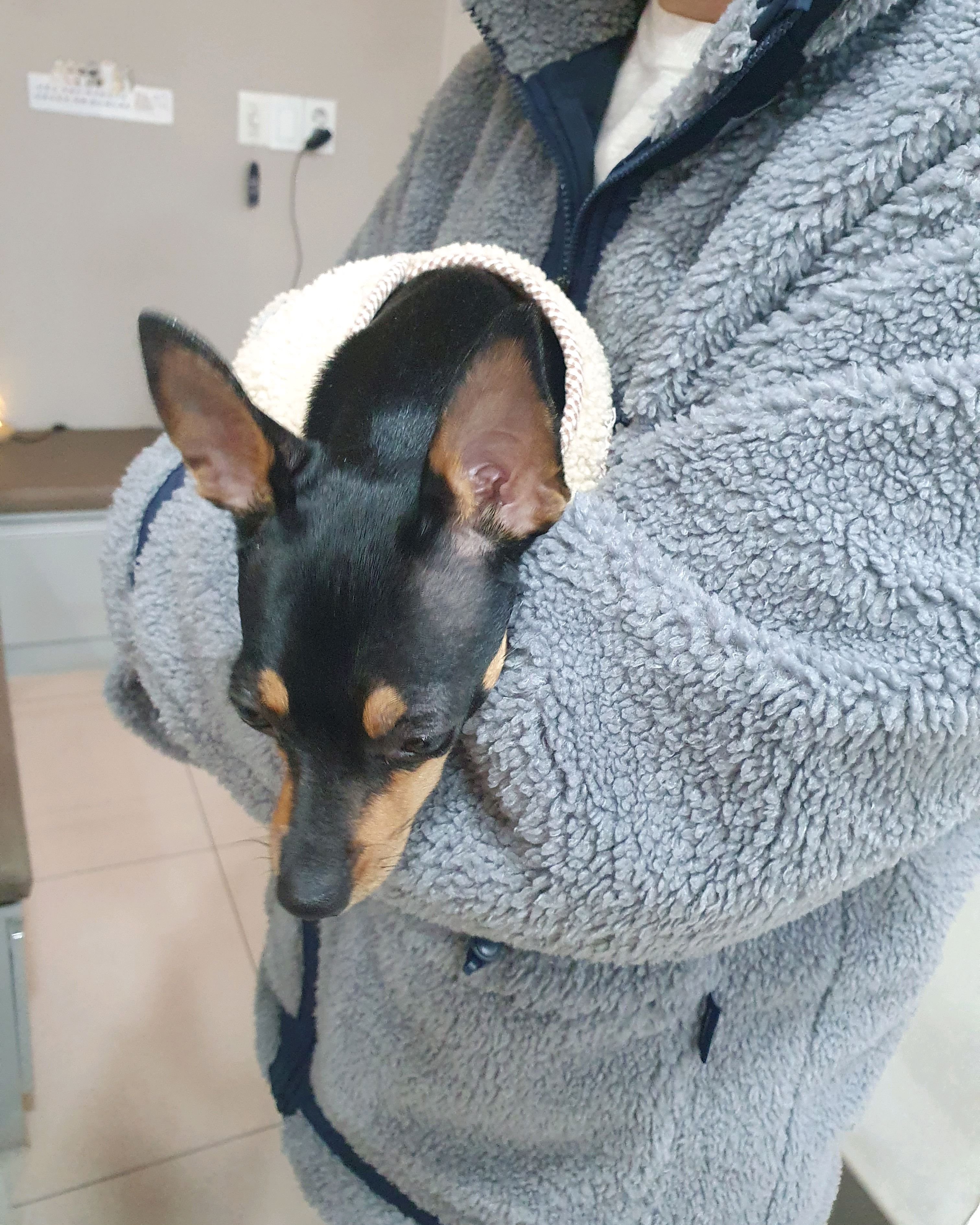 바론동물병원 사진 2