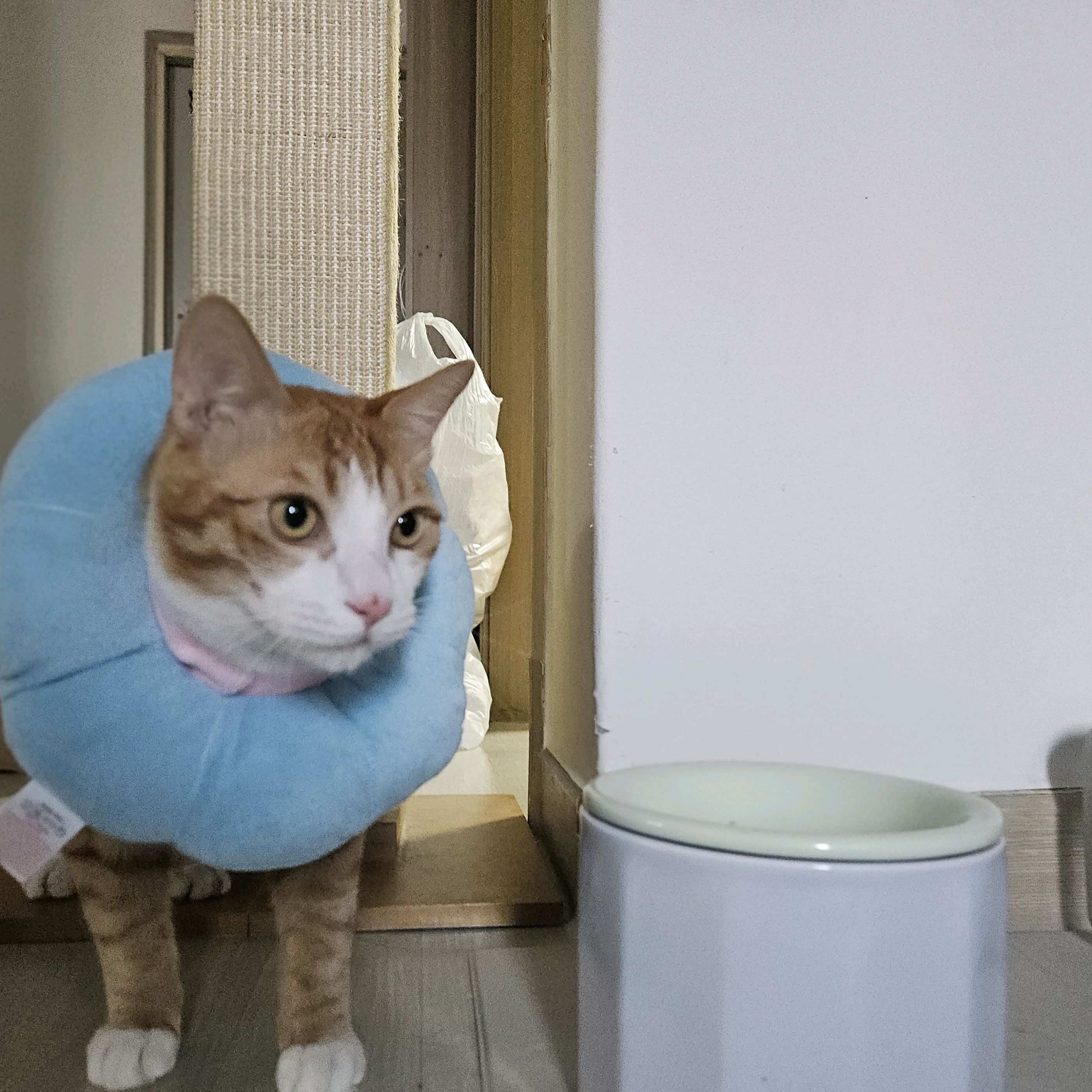 리뷰 사진 1
