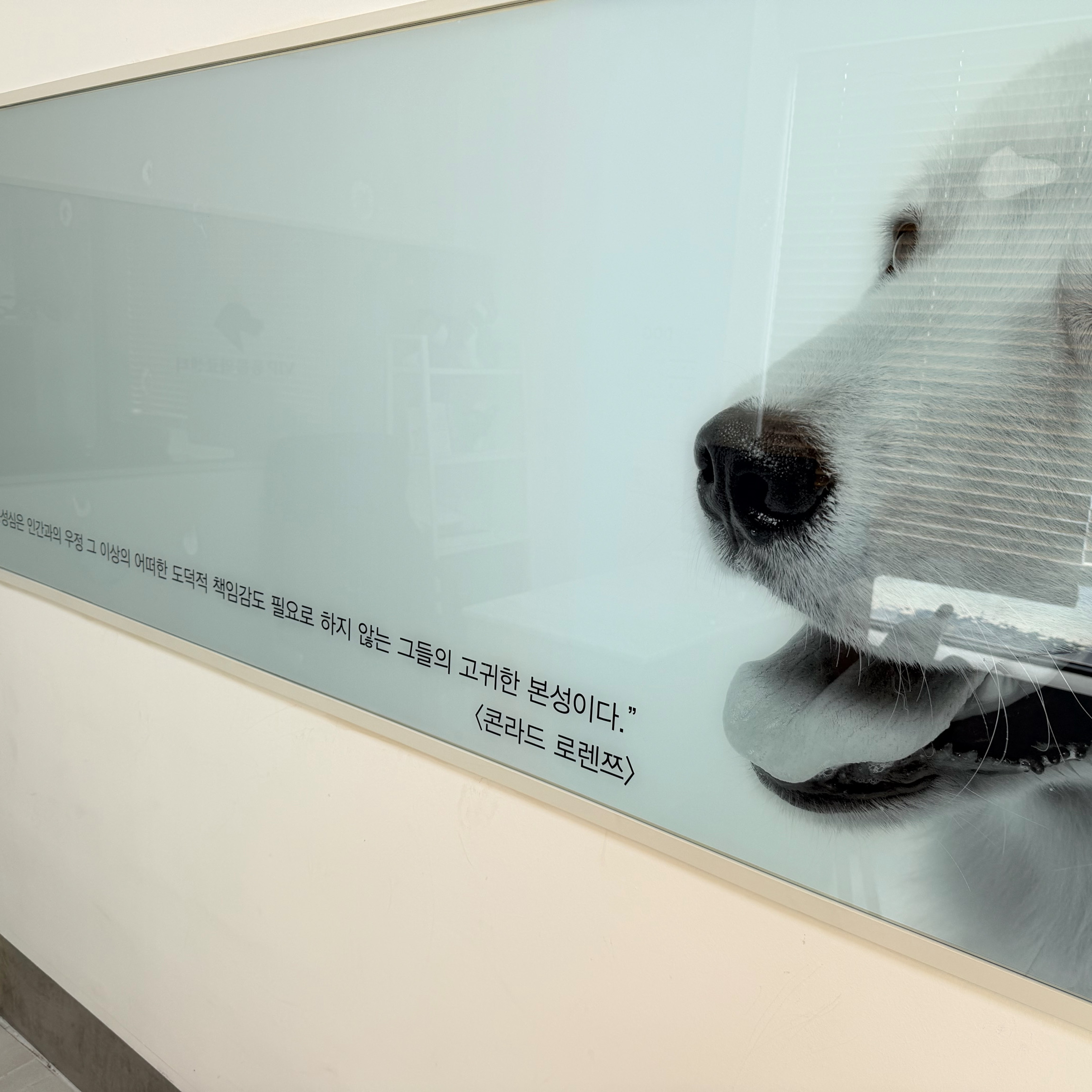 리뷰 사진 3