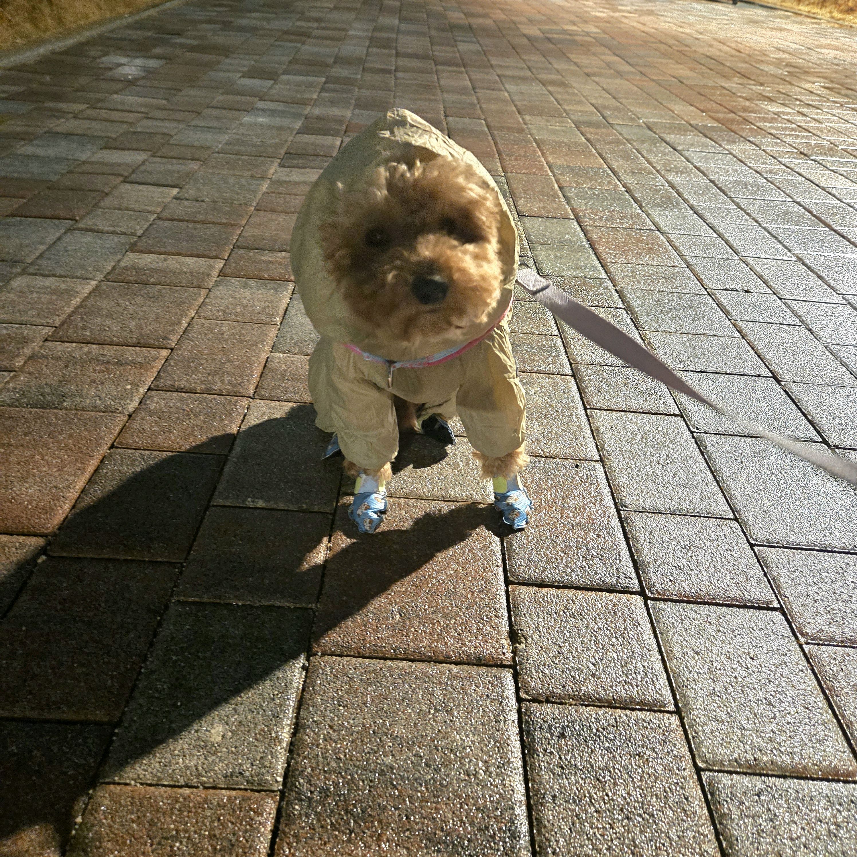 리뷰 사진 1