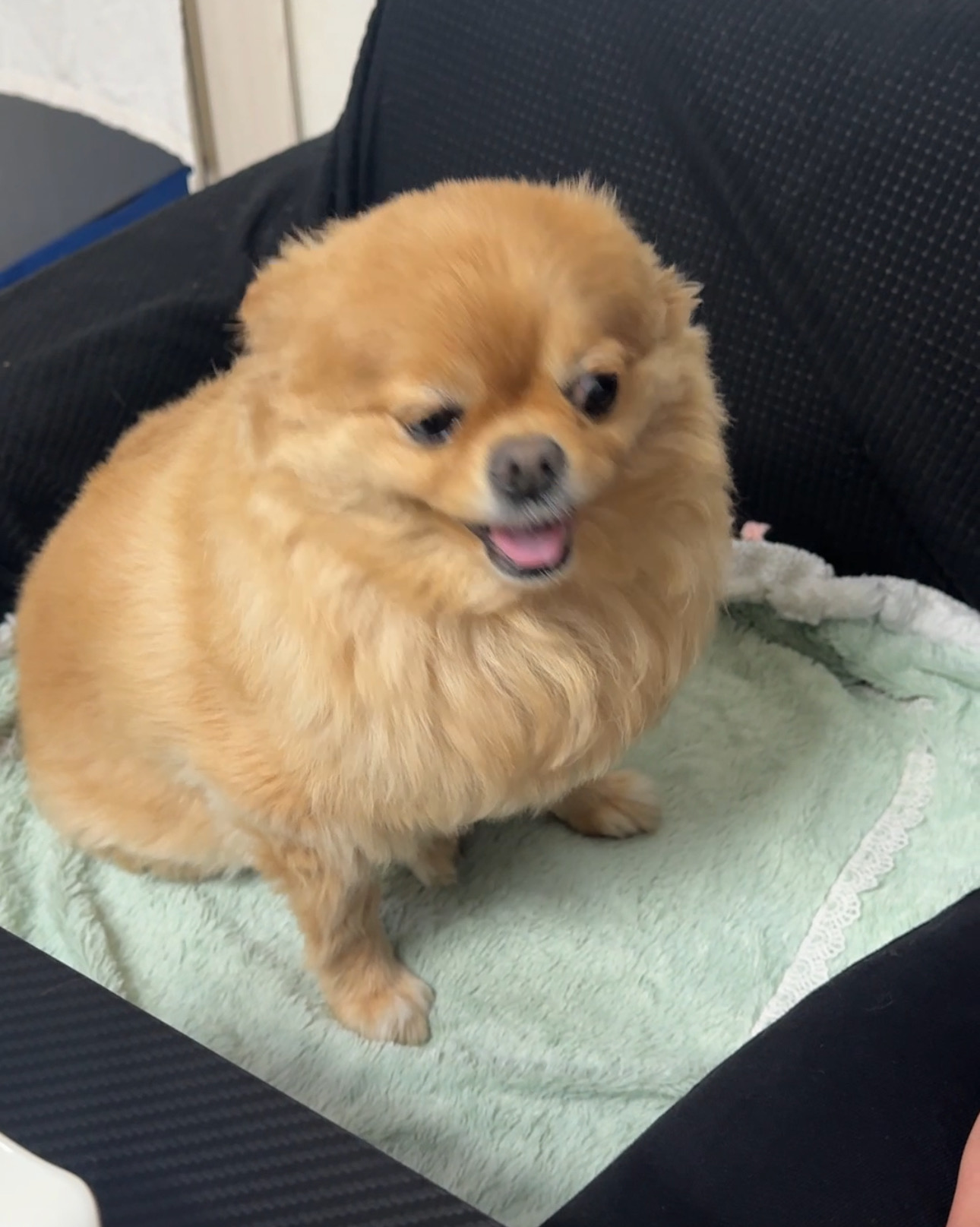 리뷰 사진 1