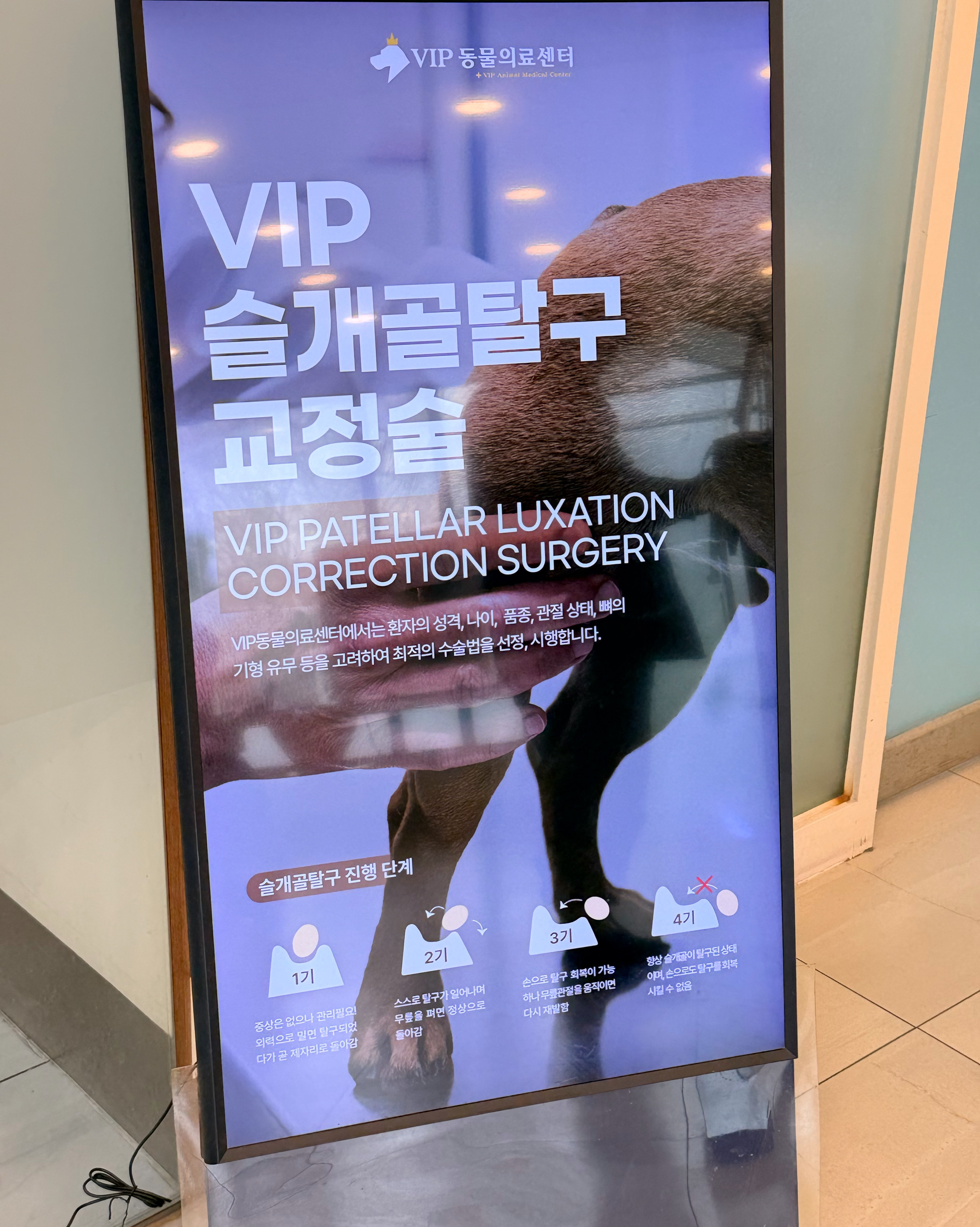 리뷰 사진 5