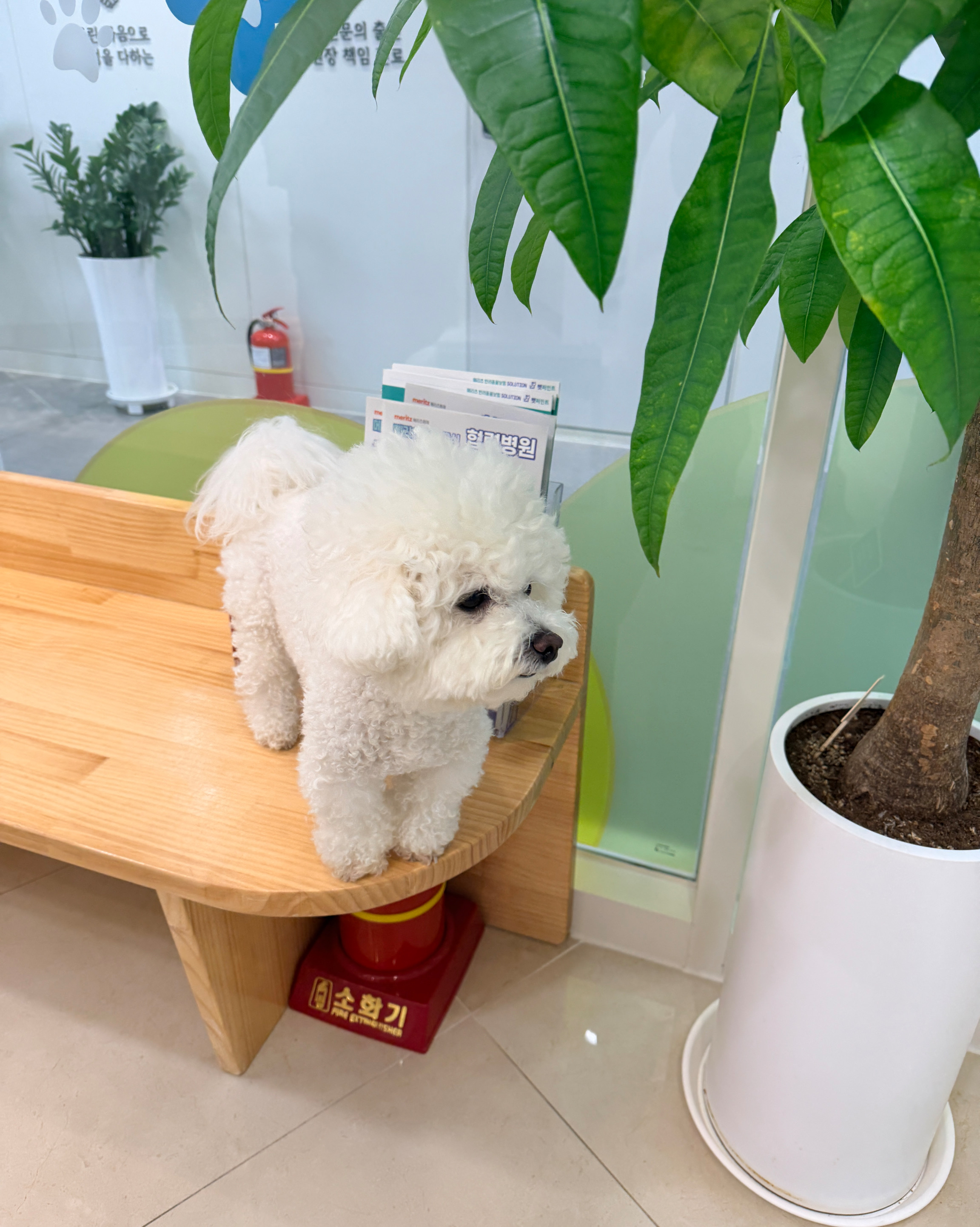 리뷰 사진 3
