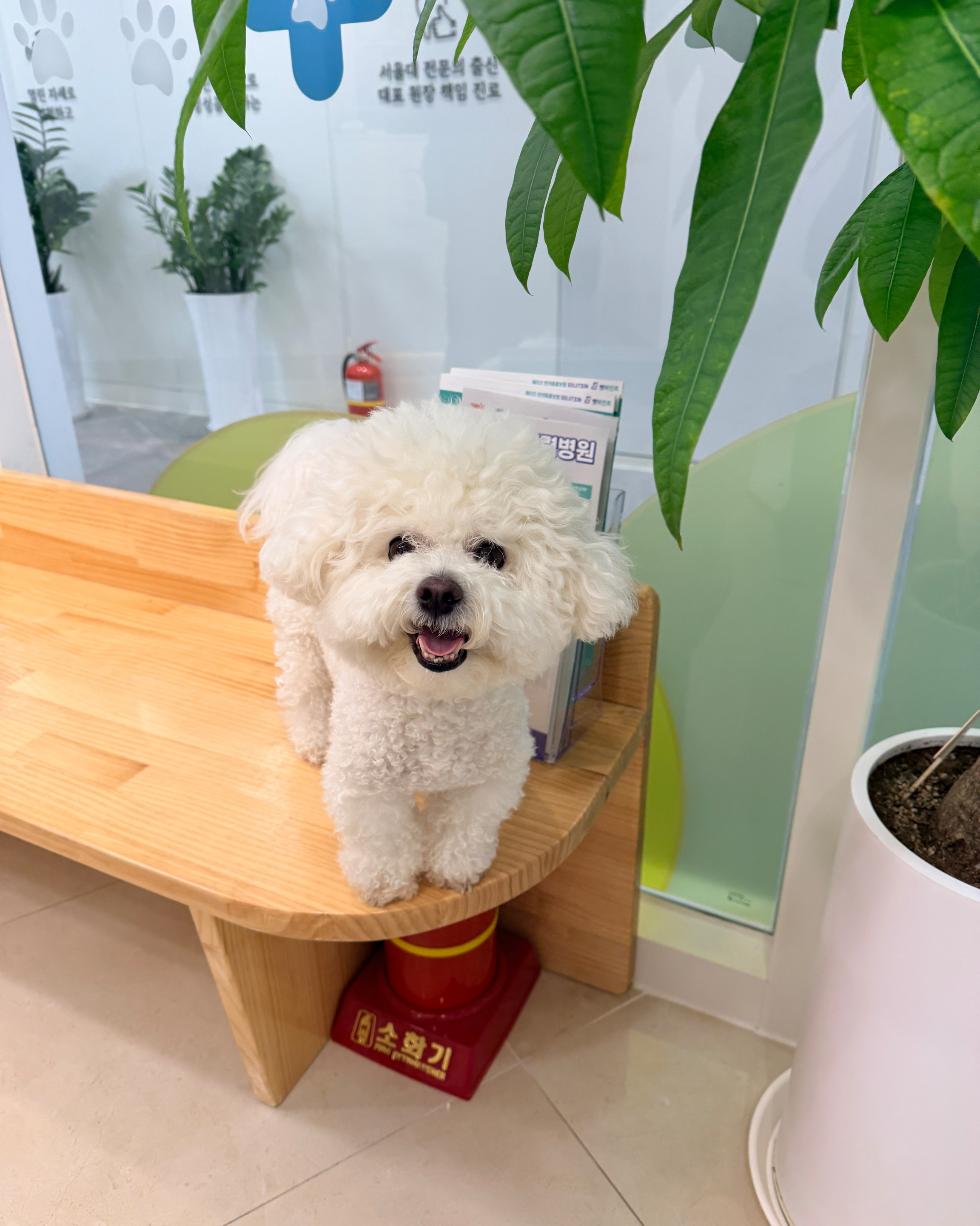 리뷰 사진 1