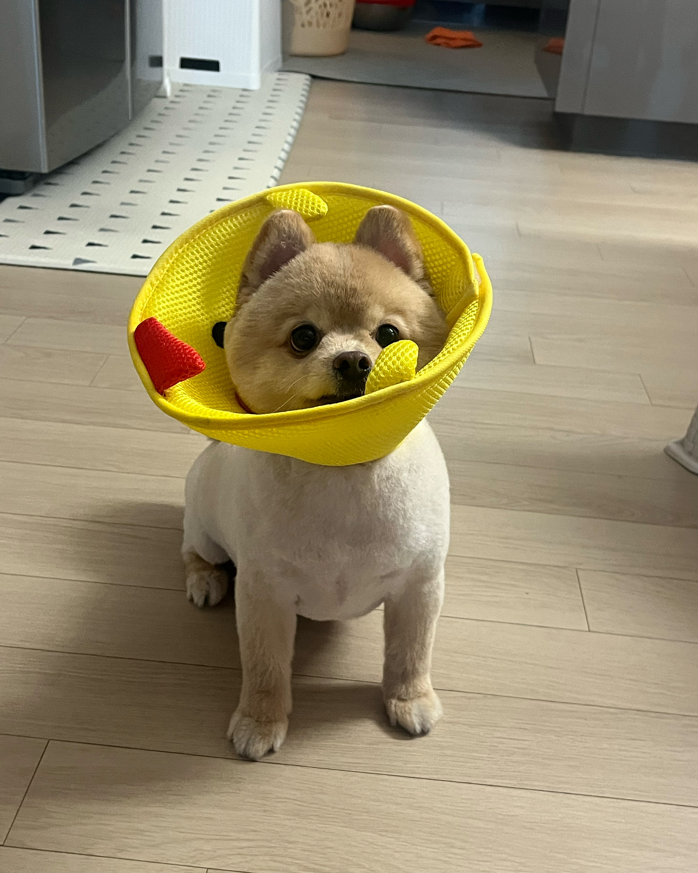 한걸음 동물병원 사진 2