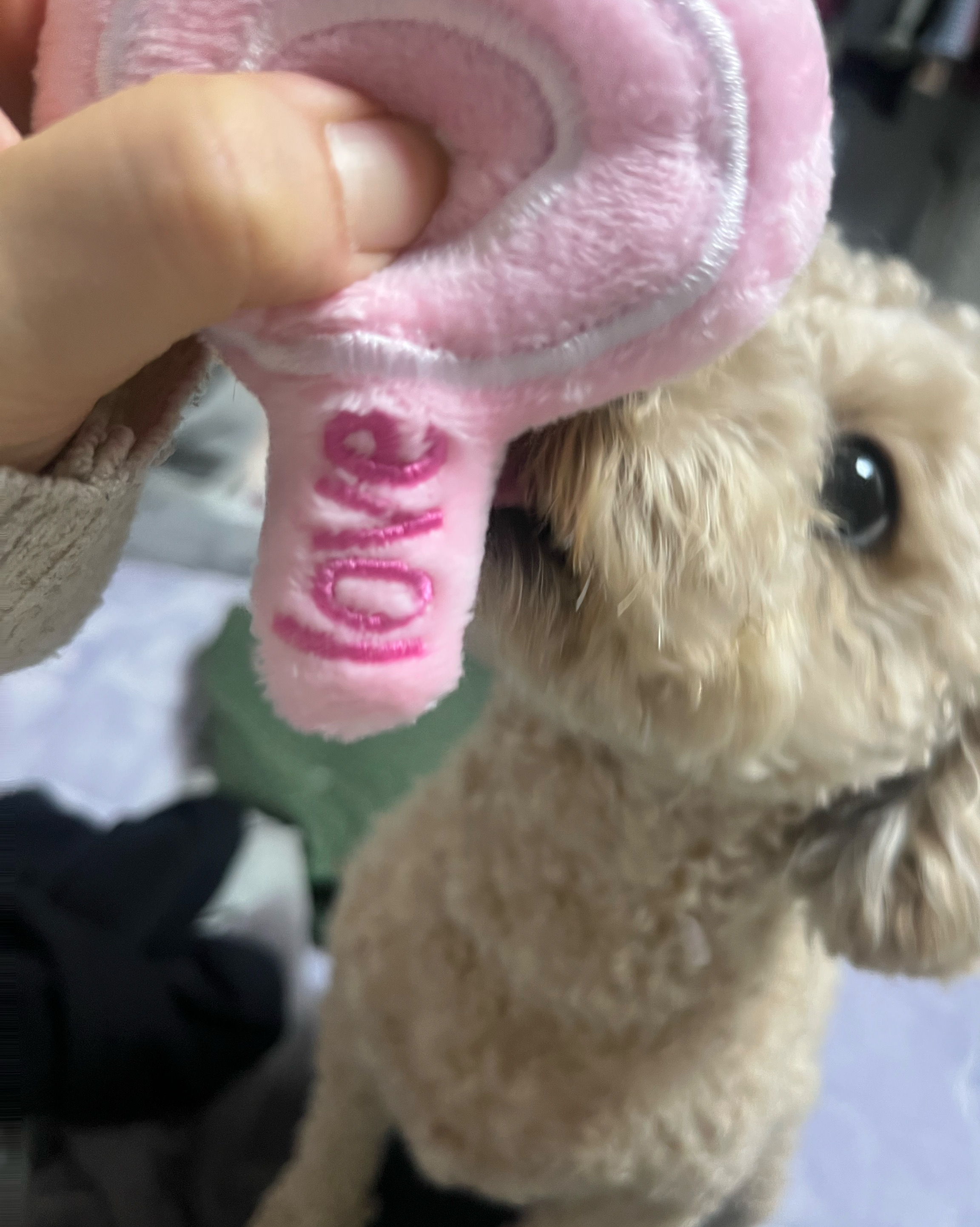 리뷰 사진 4