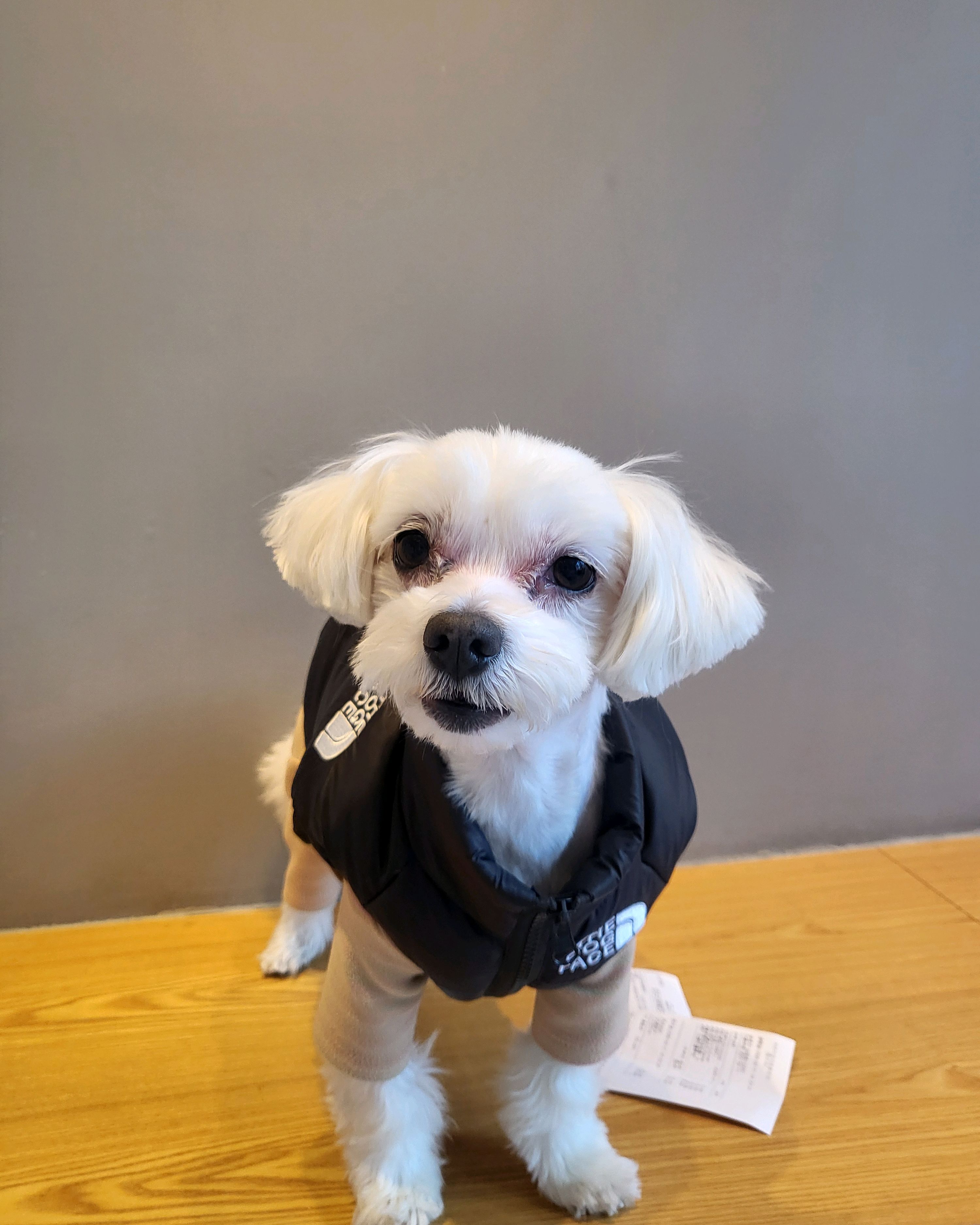 리뷰 사진 1