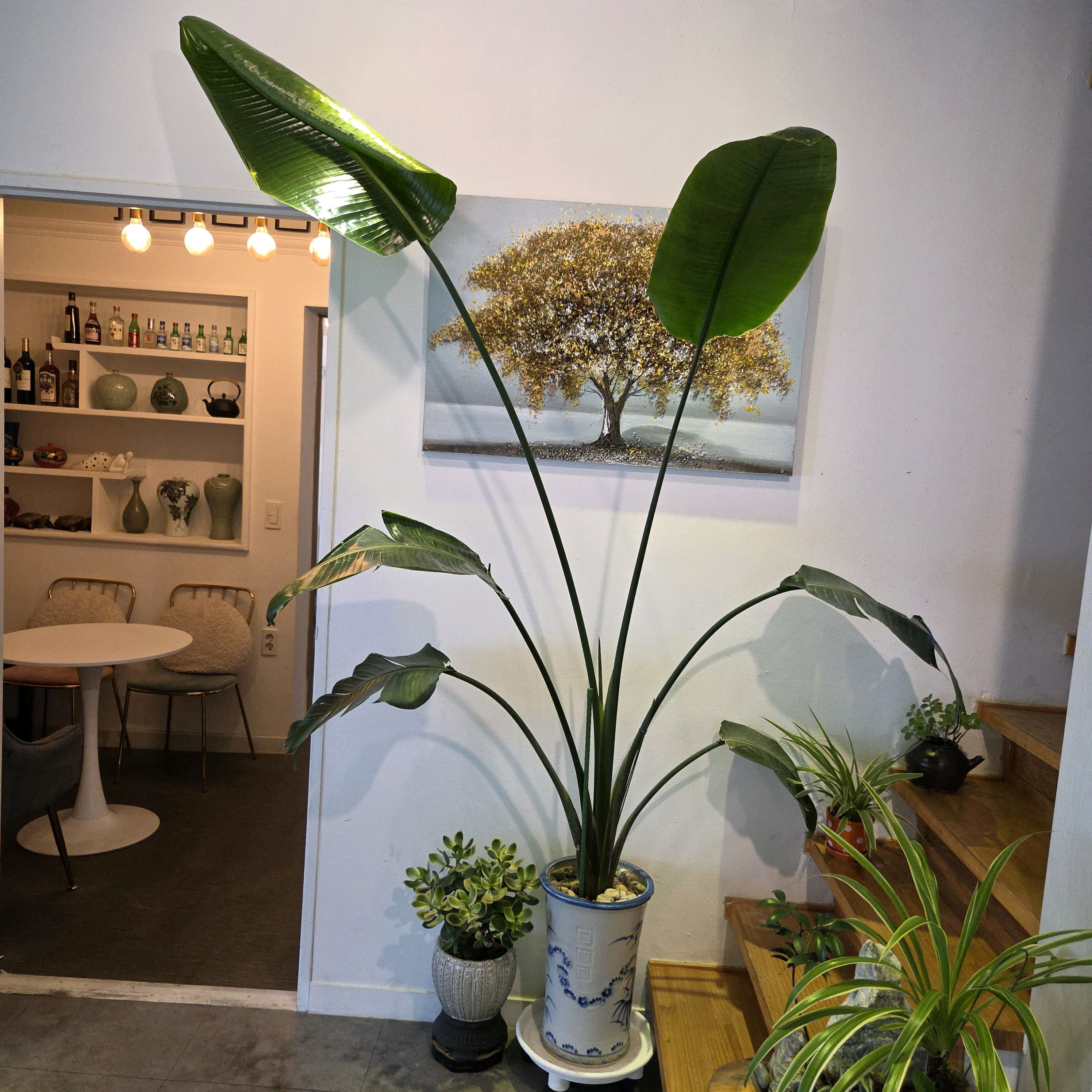 Visitor review