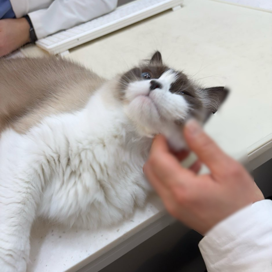 리뷰 사진 1