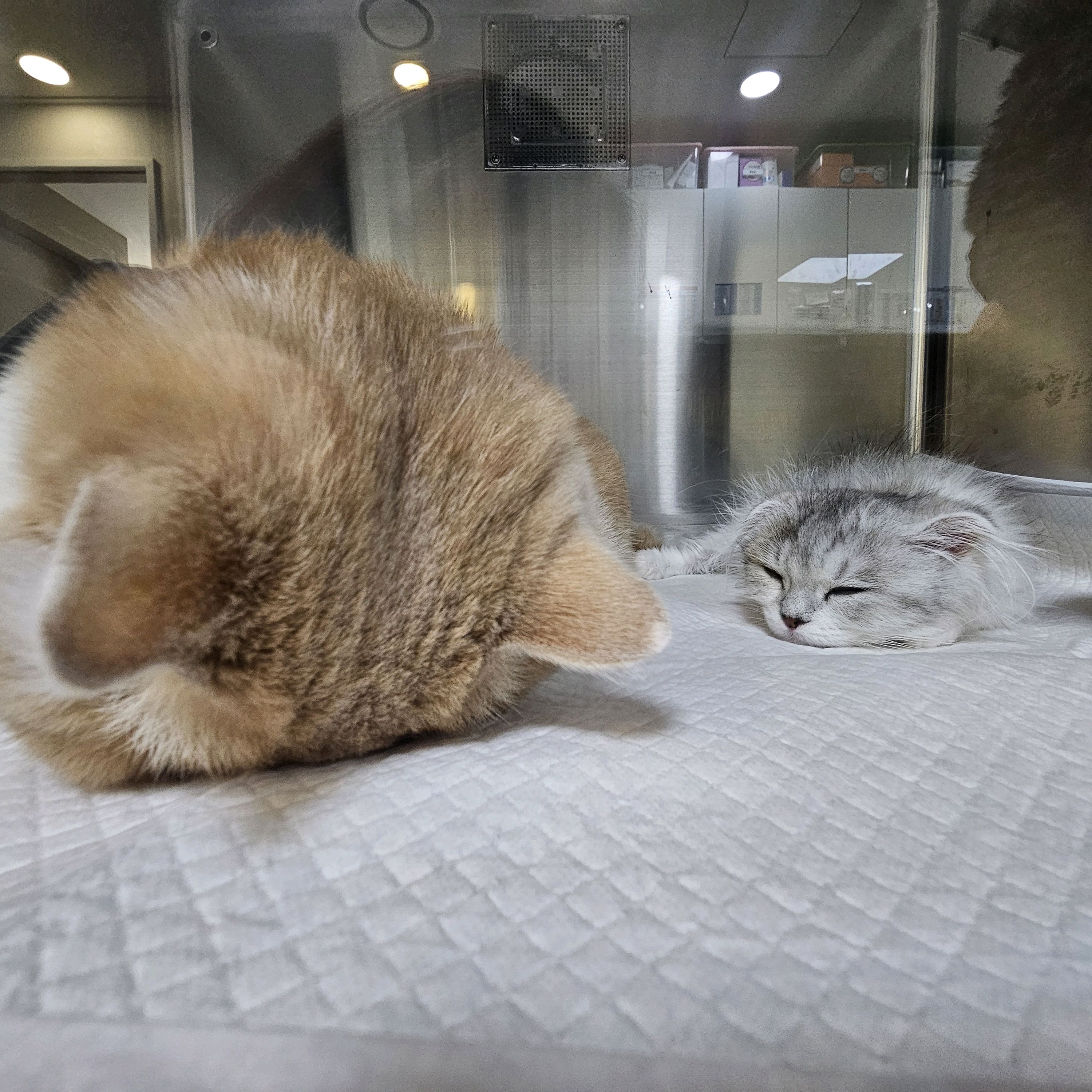 리뷰 사진 1