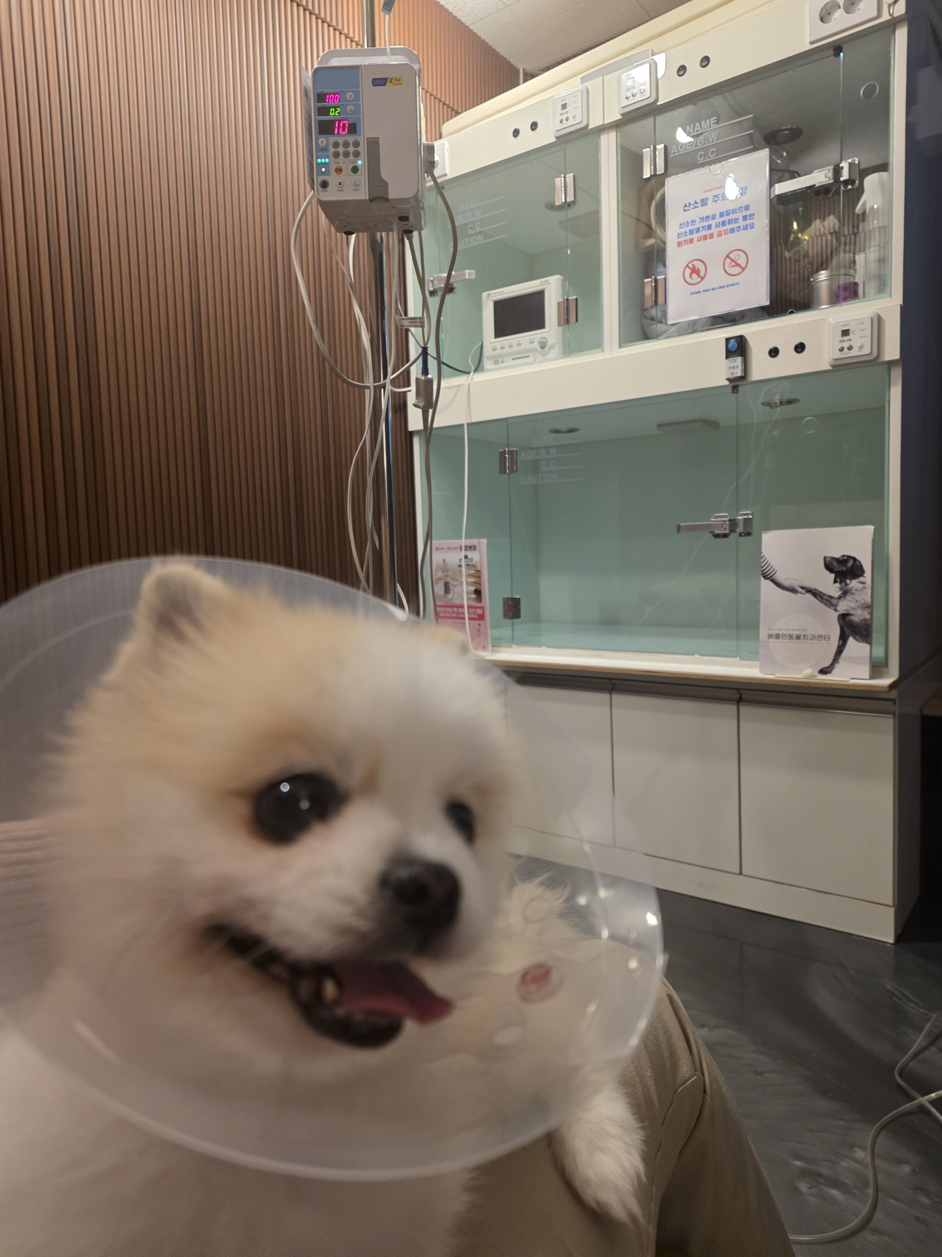 리뷰 사진 3