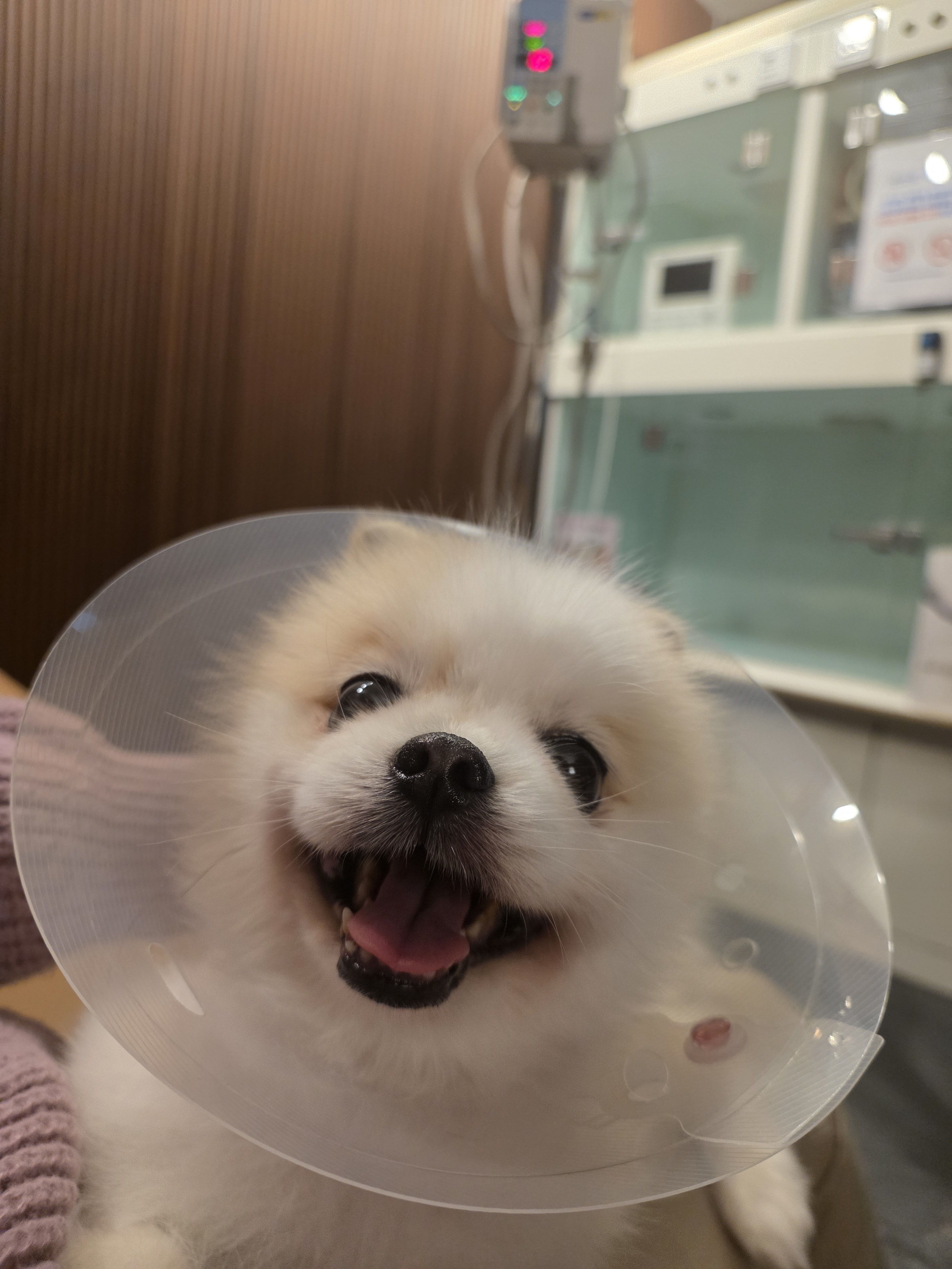 리뷰 사진 1