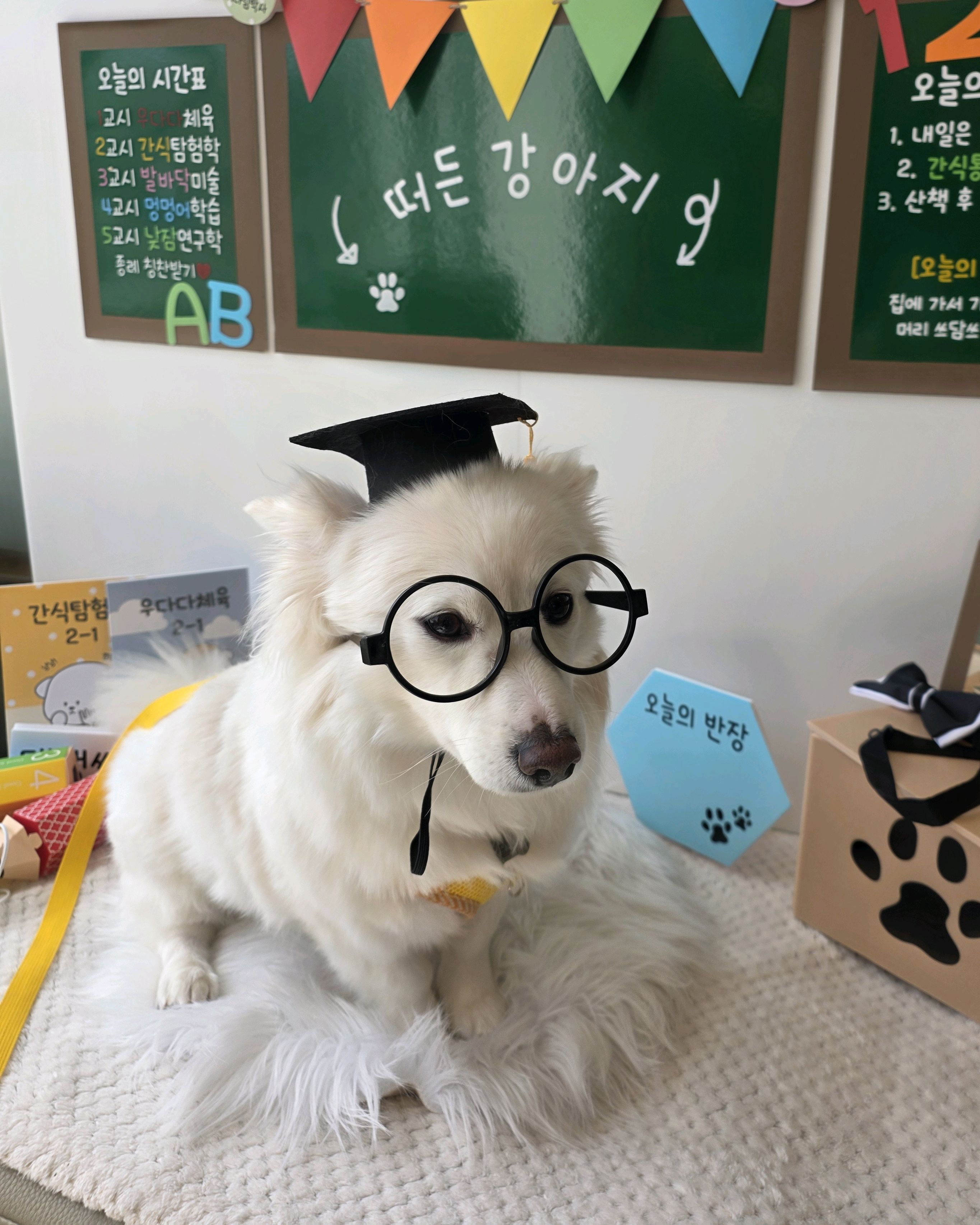 리뷰 사진 2