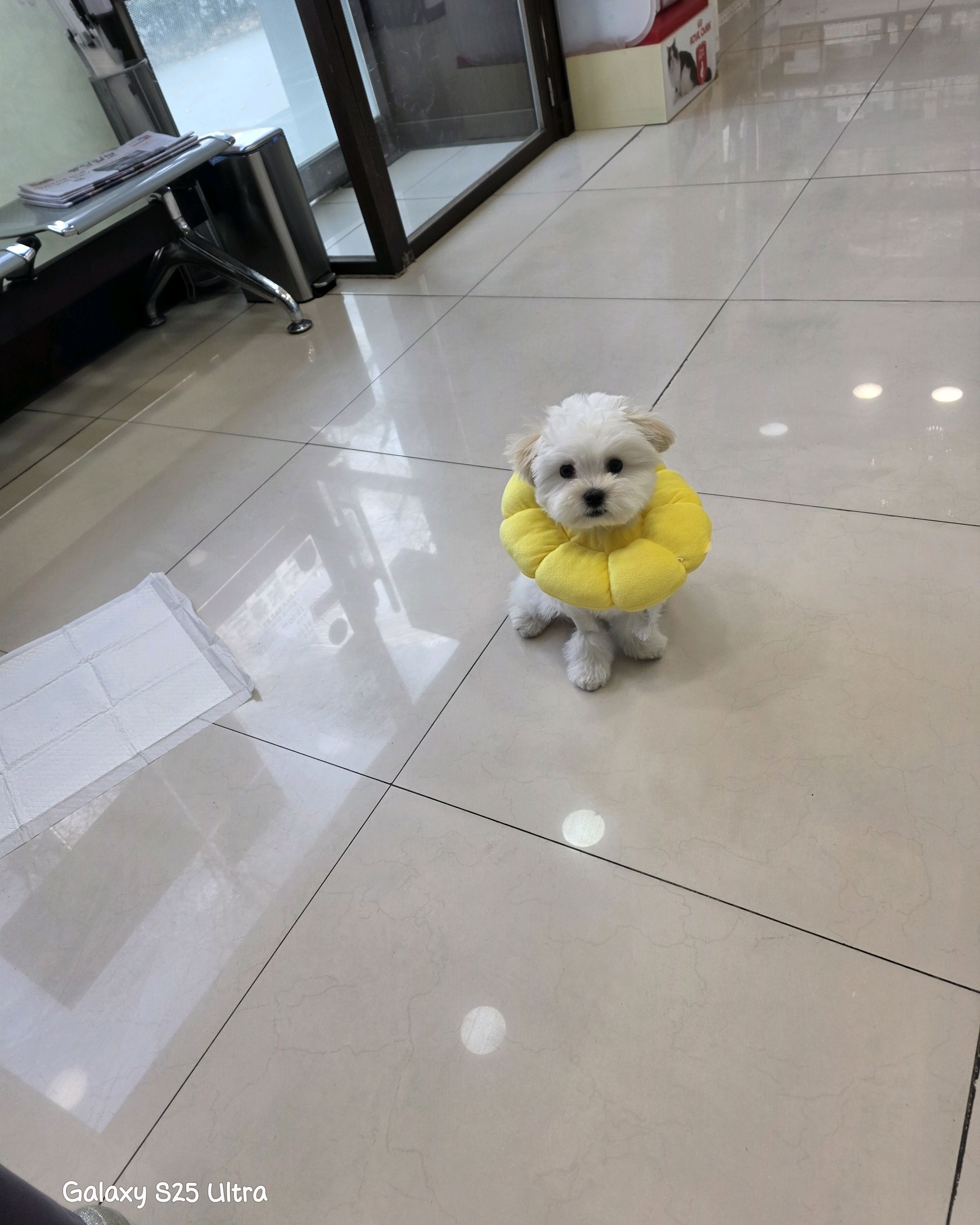 리뷰 사진 1