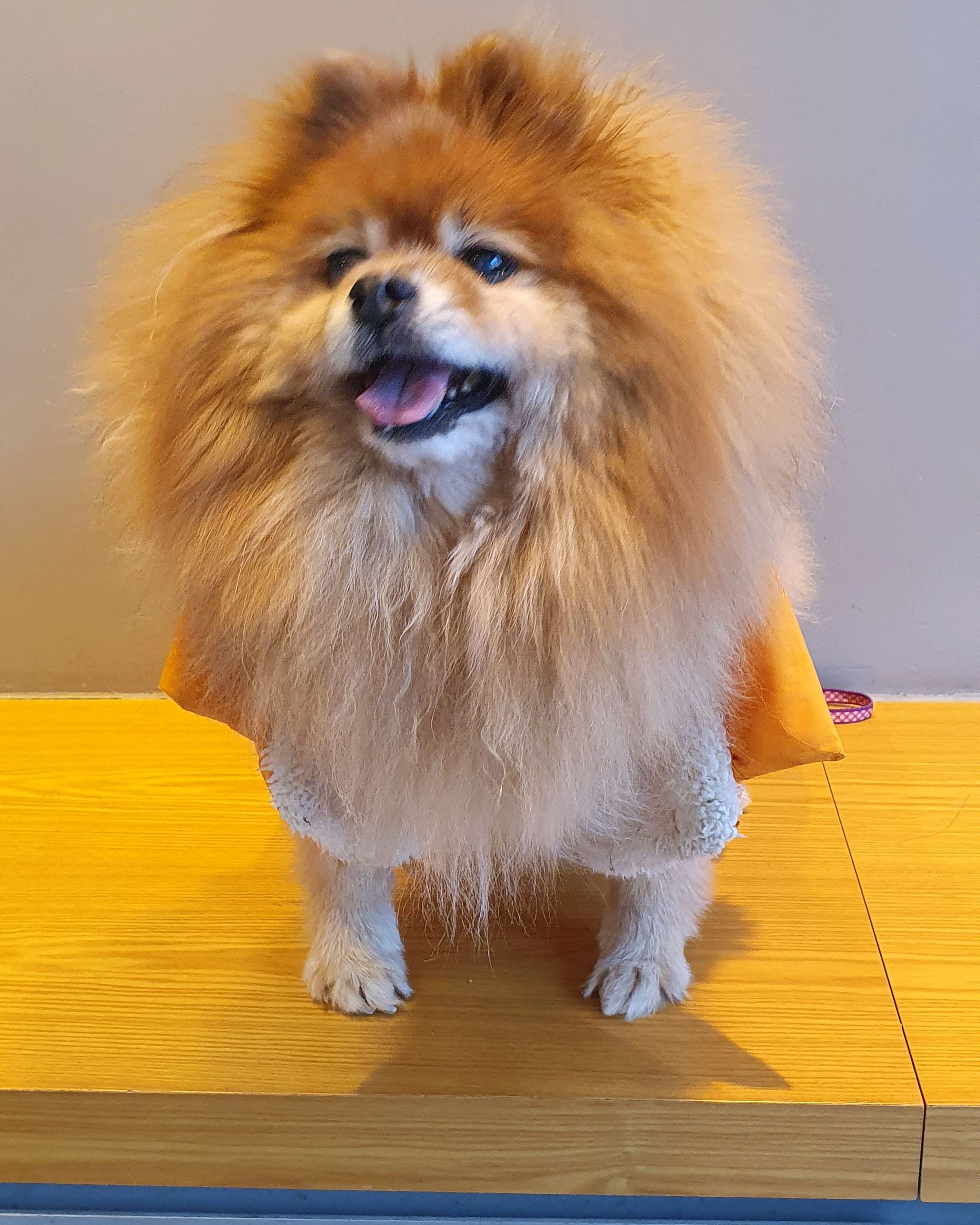 리뷰 사진 1