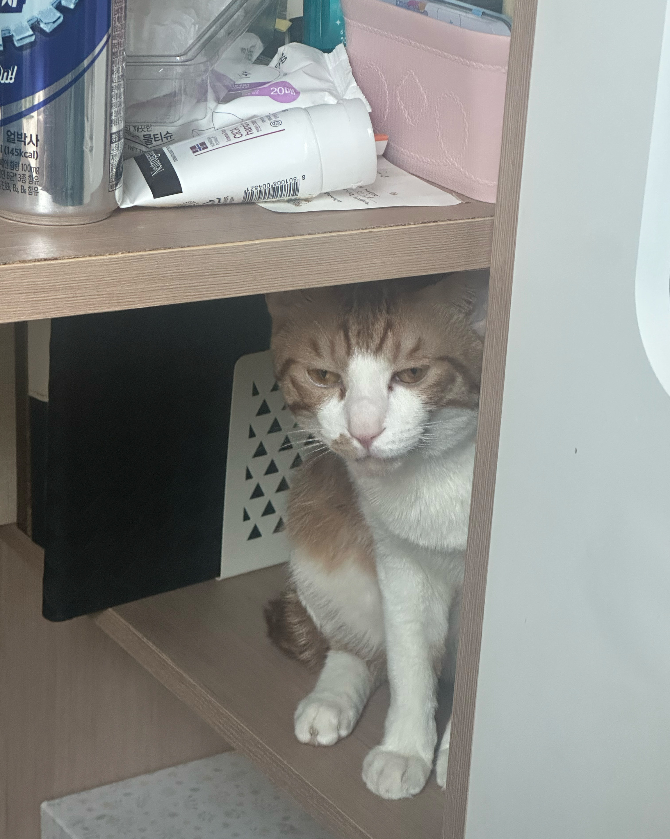 리뷰 사진 1