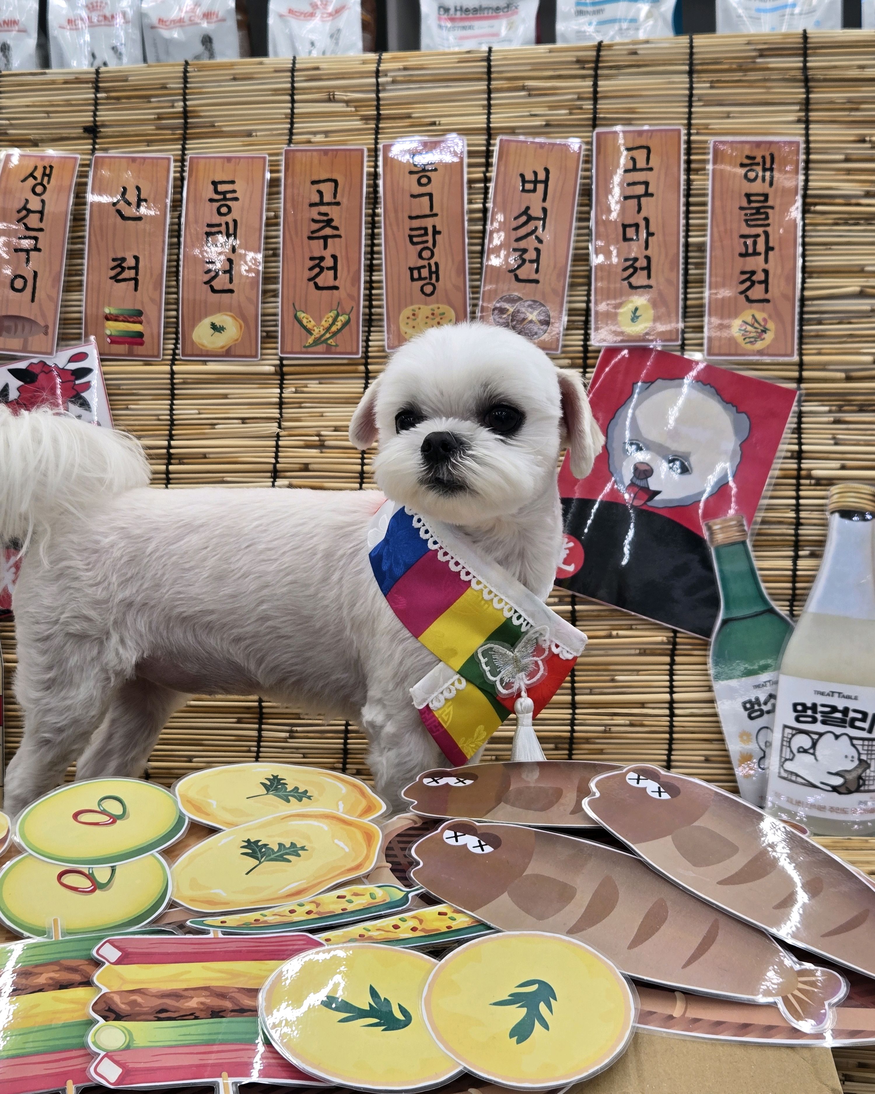 24시 딜라이트 동물의료센터 사진 2