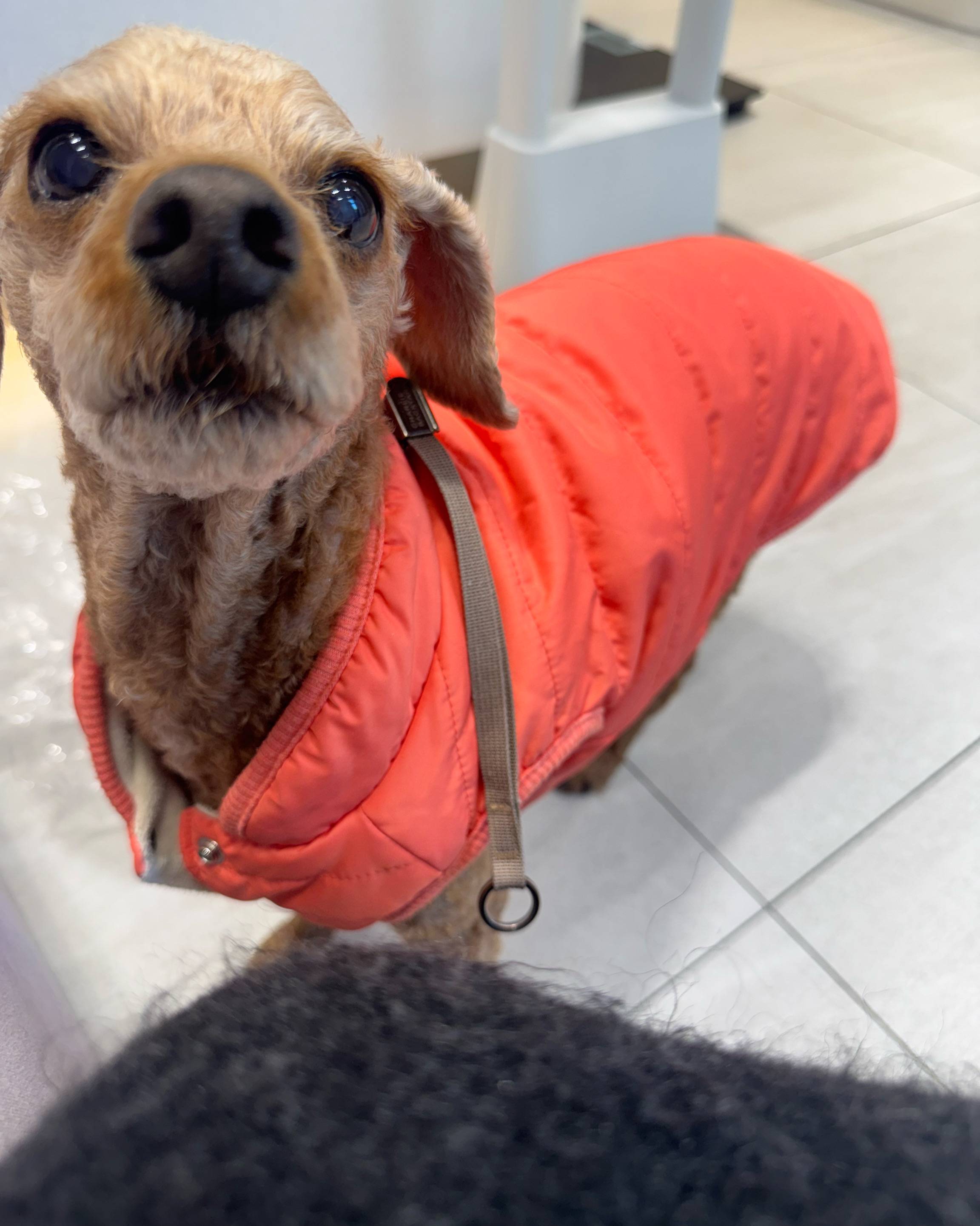 리뷰 사진 1
