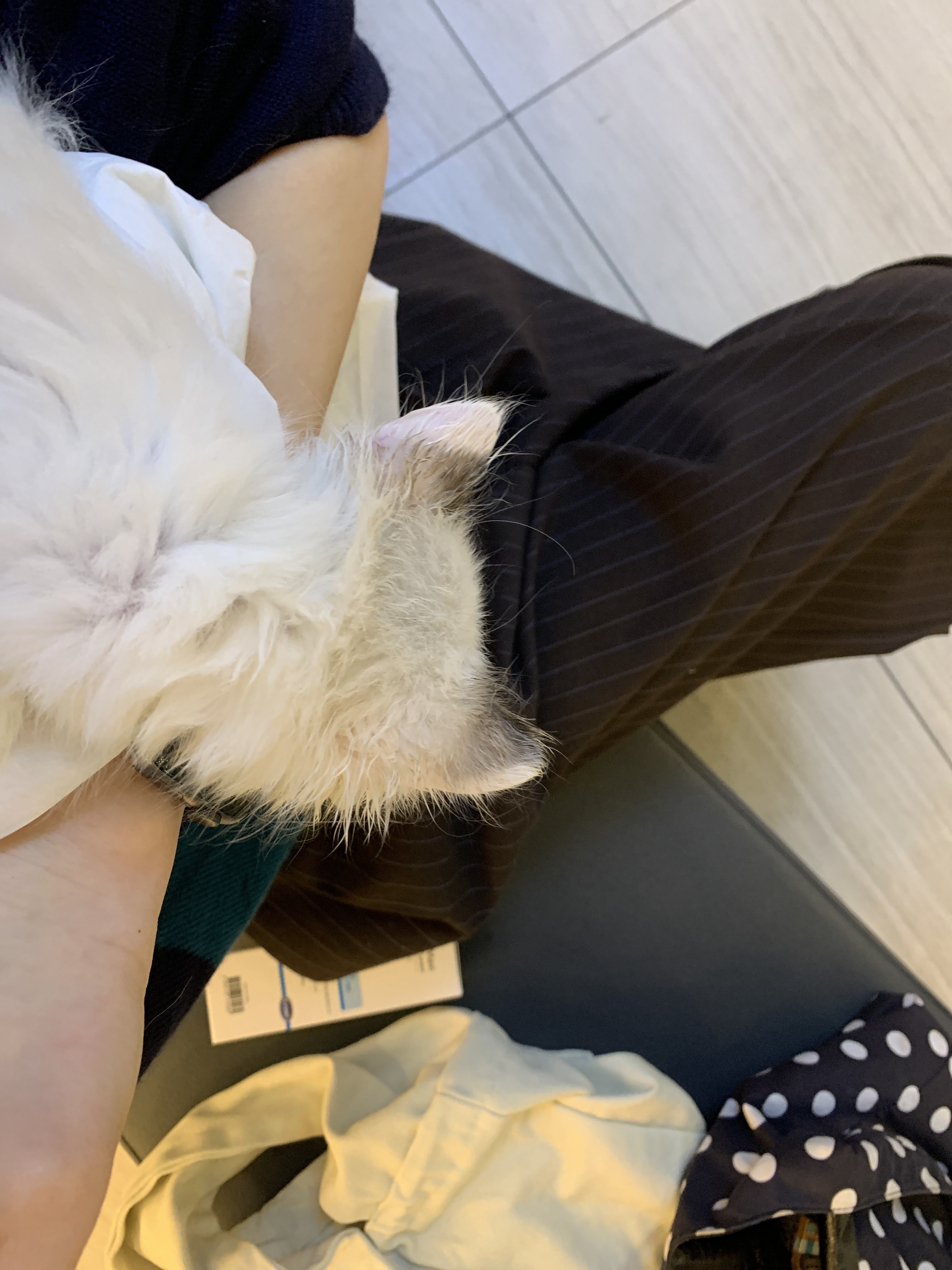 리뷰 사진 1