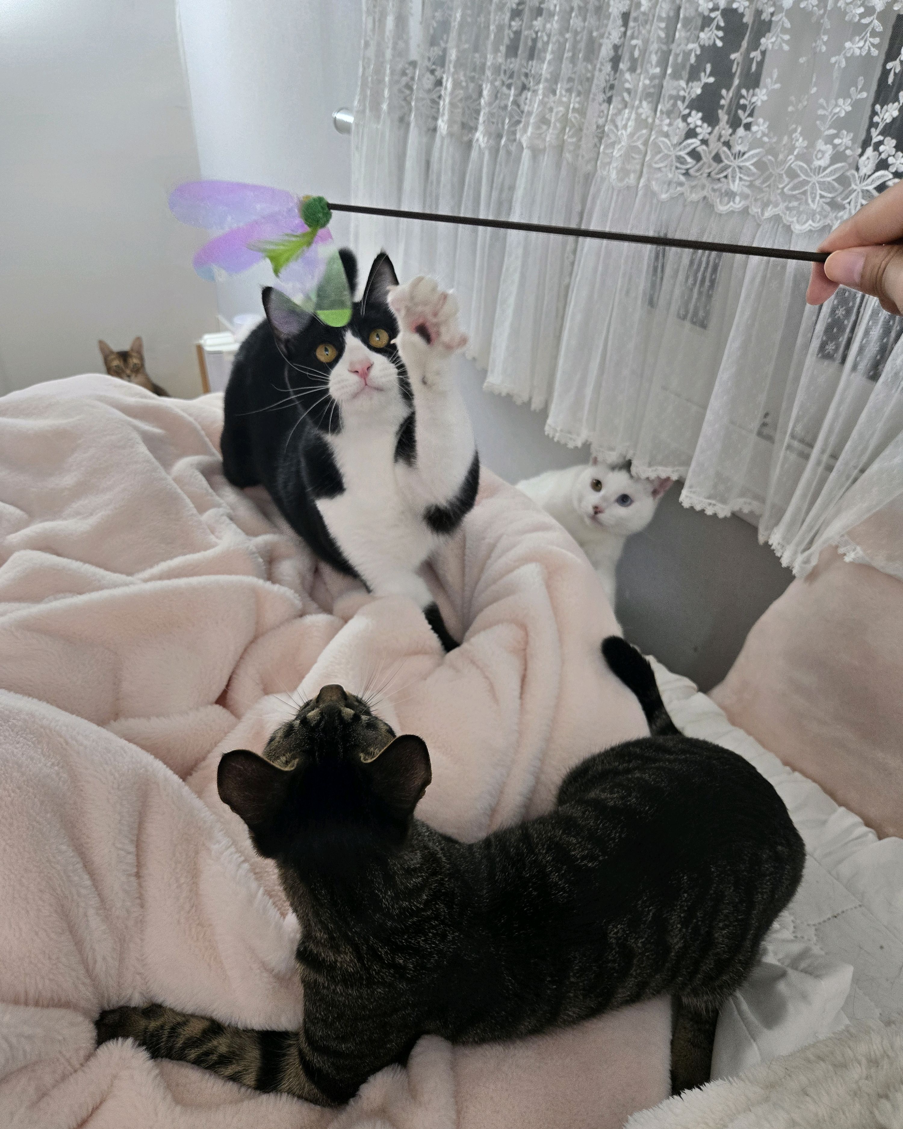 리뷰 사진 1