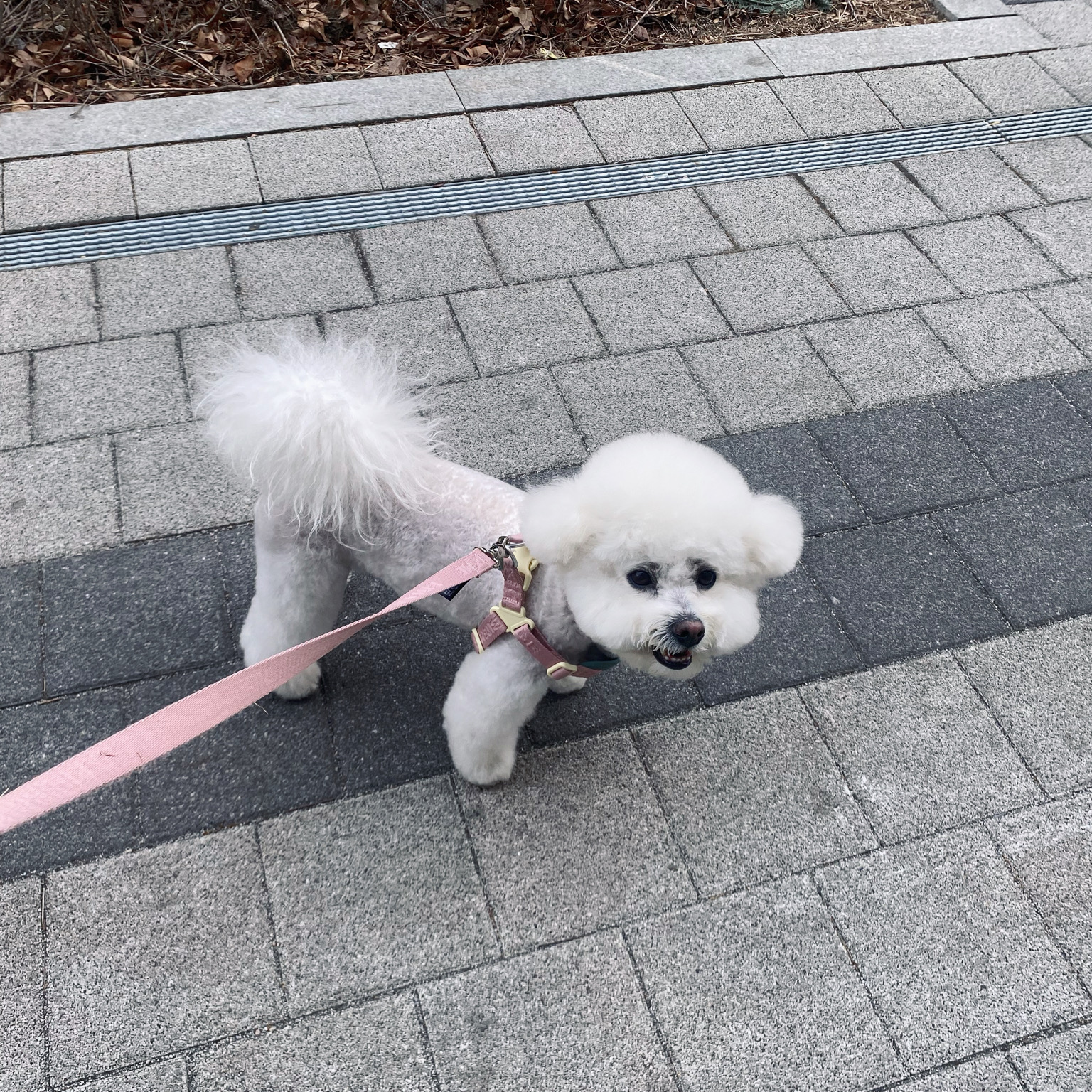 리뷰 사진 3