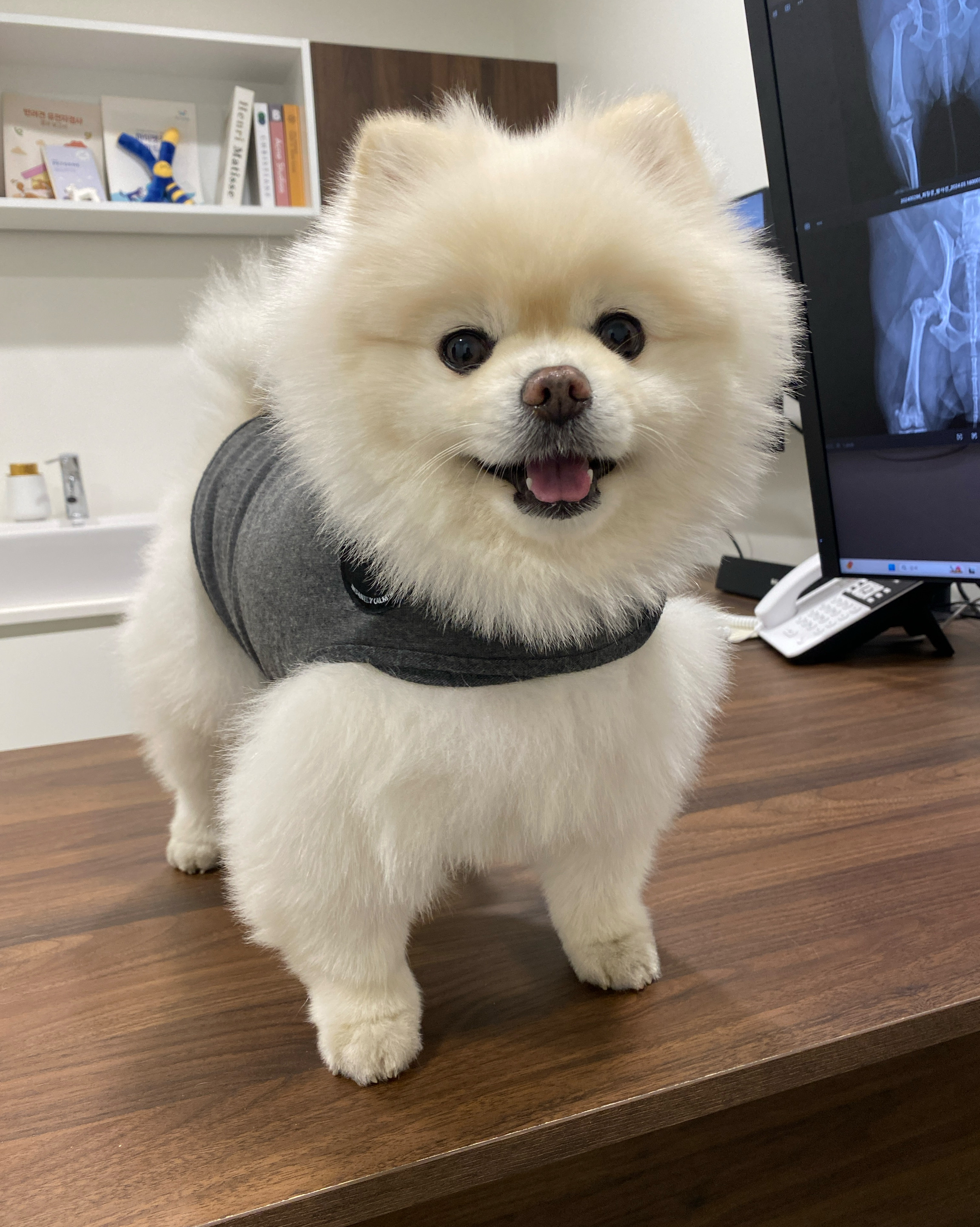 리뷰 사진 1