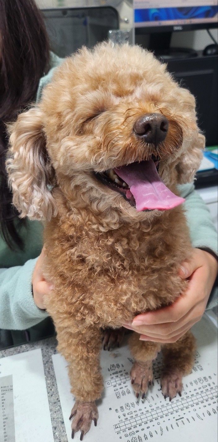 리뷰 사진 1