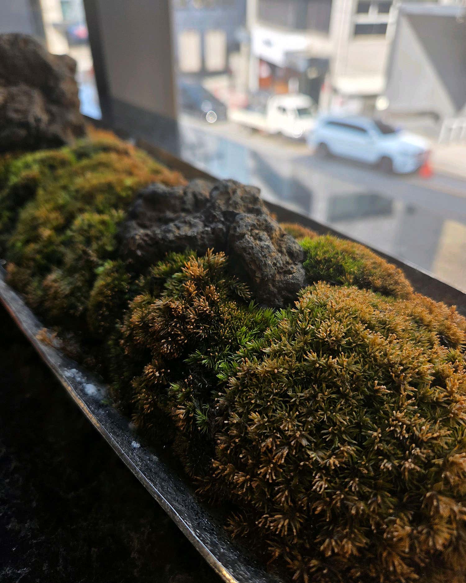 설야갈비 청담 참고 이미지 12