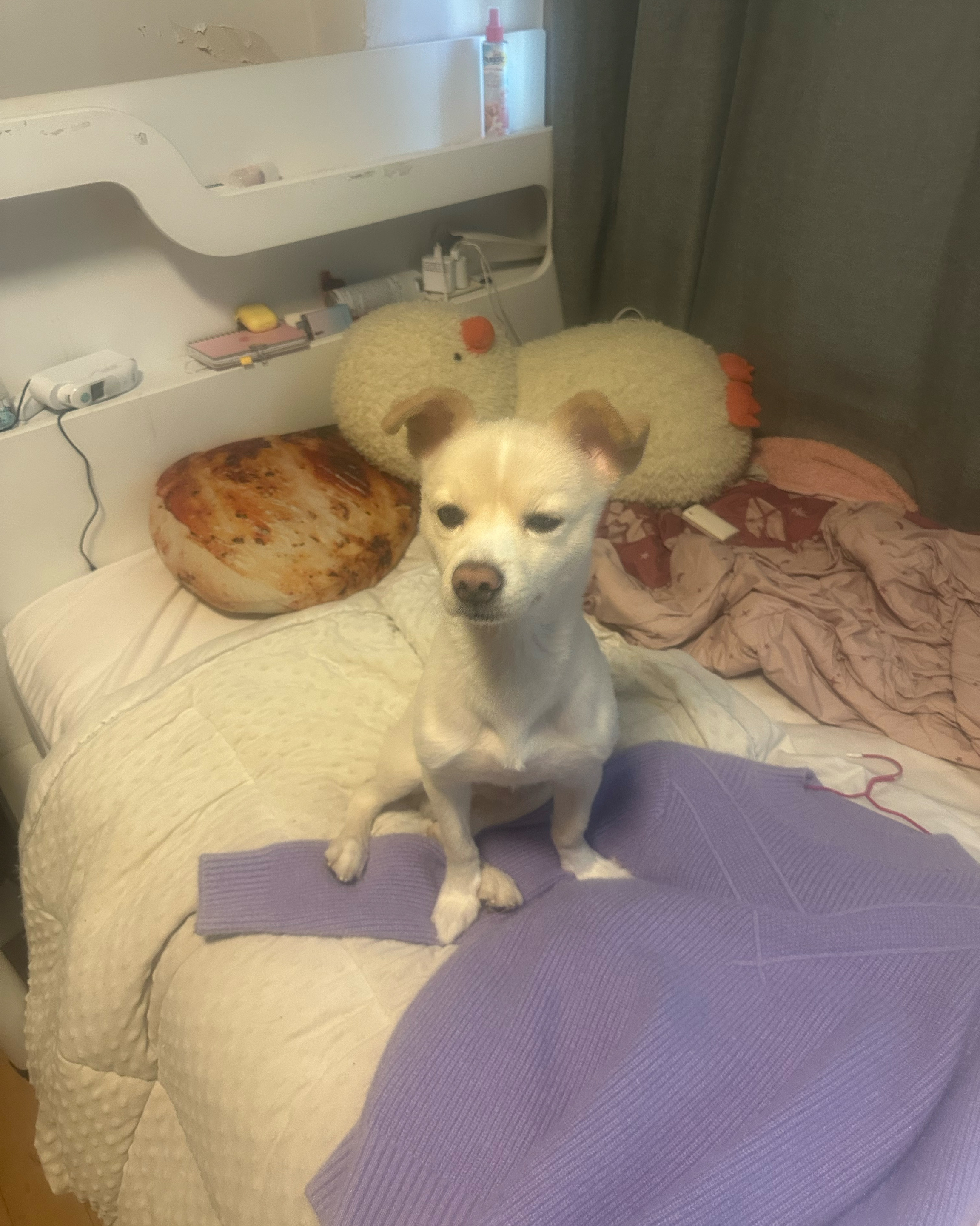 리뷰 사진 1