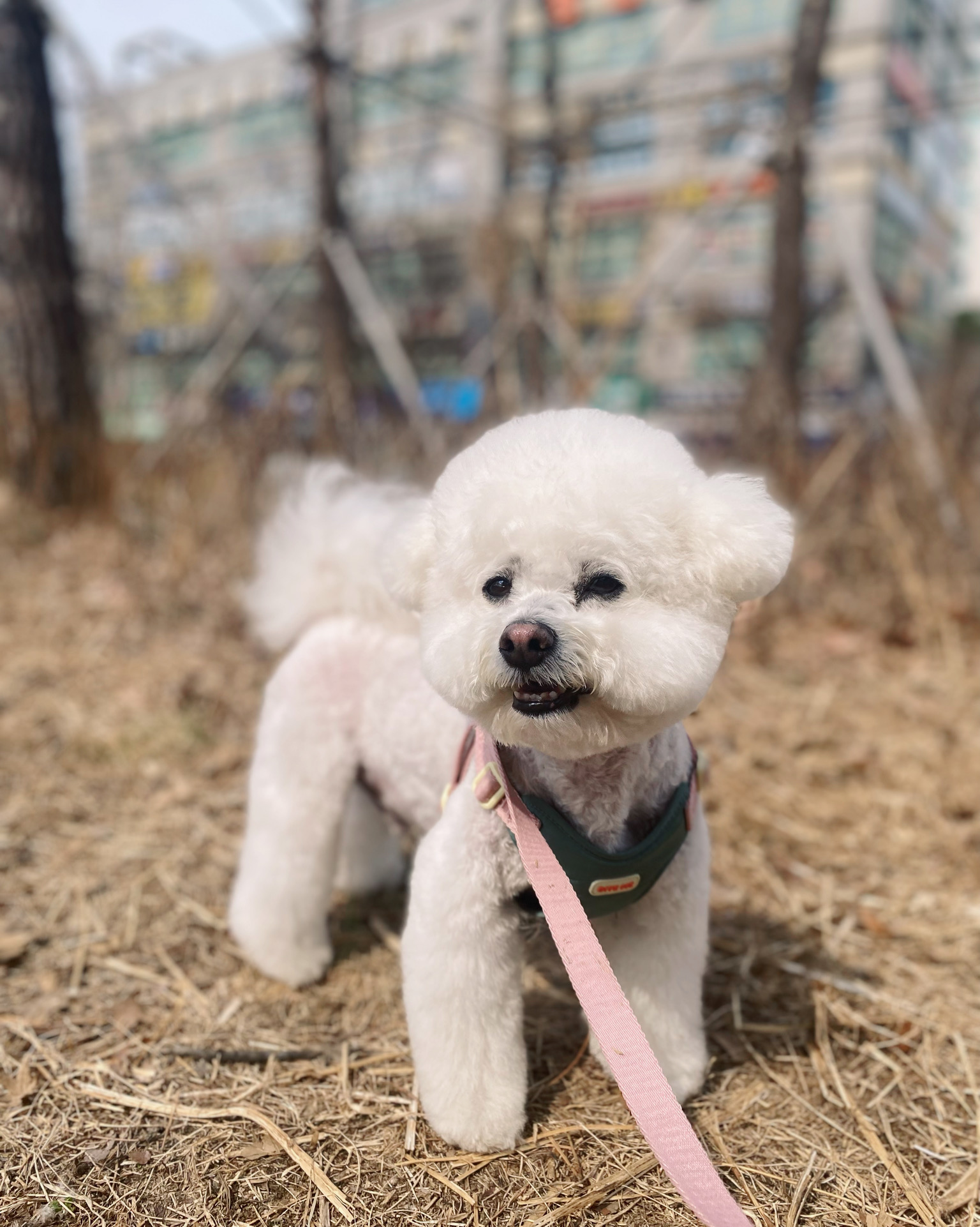 리뷰 사진 2